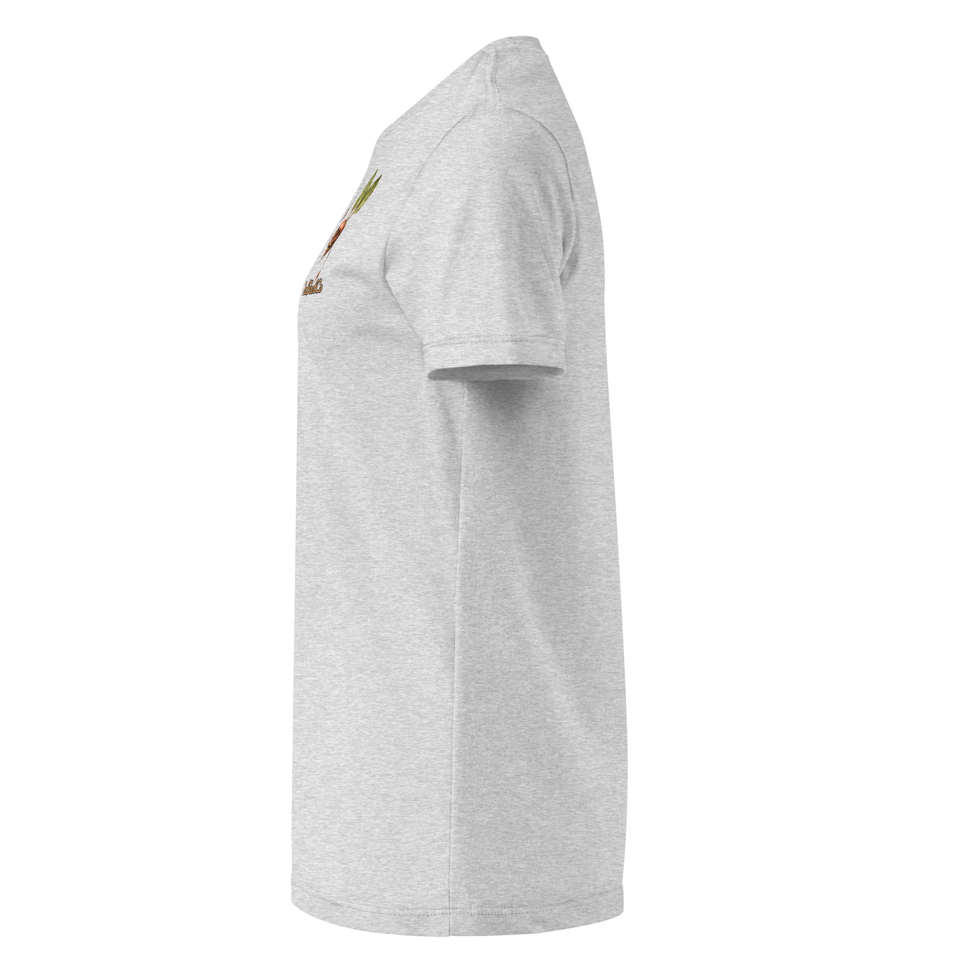 womens-basic-softstyle-t-shirt-rs-sport-grey-left-69d14a1d19738.png