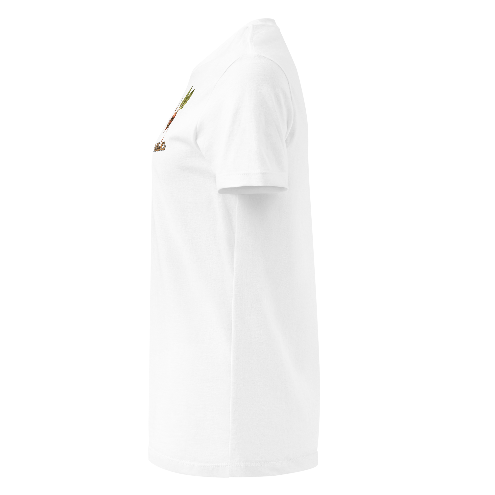 womens-basic-softstyle-t-shirt-white-left-69d14b17a02a4.png