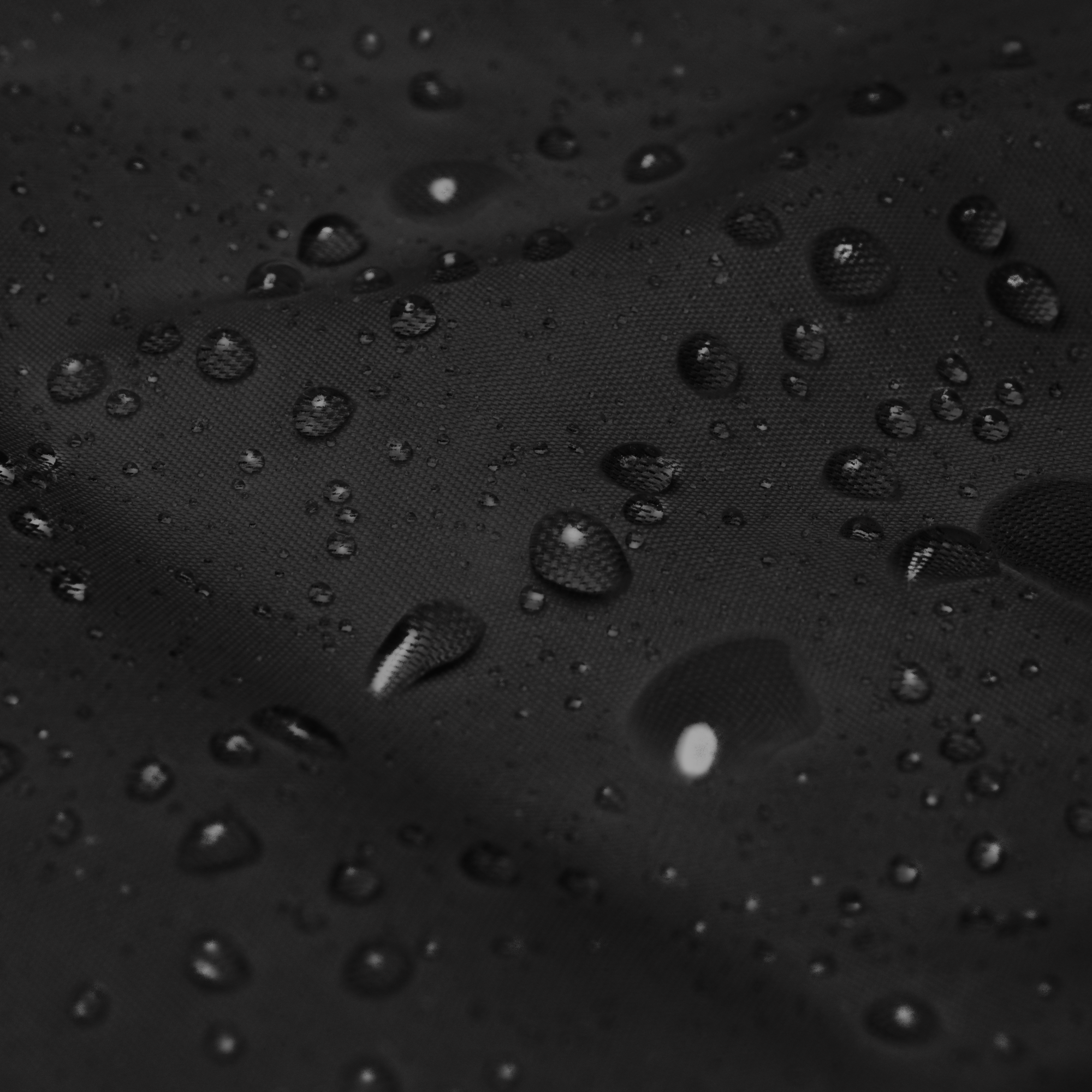 unisex-basic-windbreaker-black-product-details-6a177adb30454.png