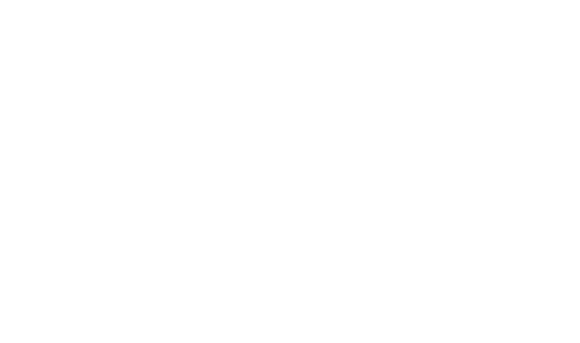 SES logo WO.png