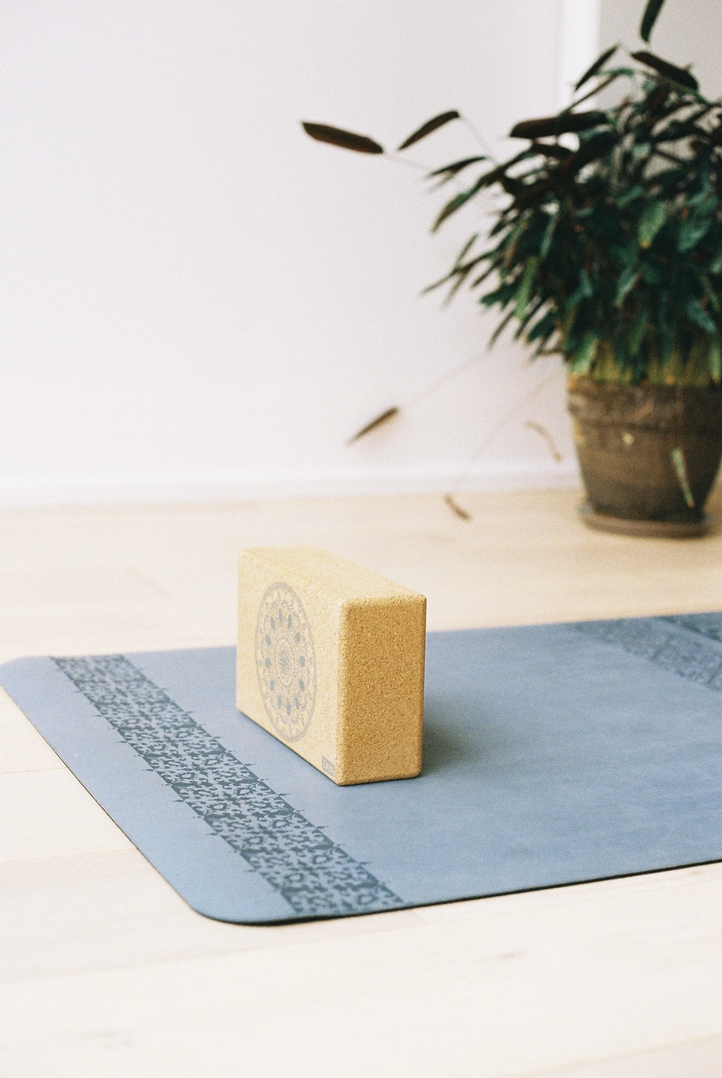 Un tapis de yoga bleu, un bloc en liège avec un motif circulaire au centre, une plante verte en pot à l'arrière, et un mur blanc en arrière-plan.