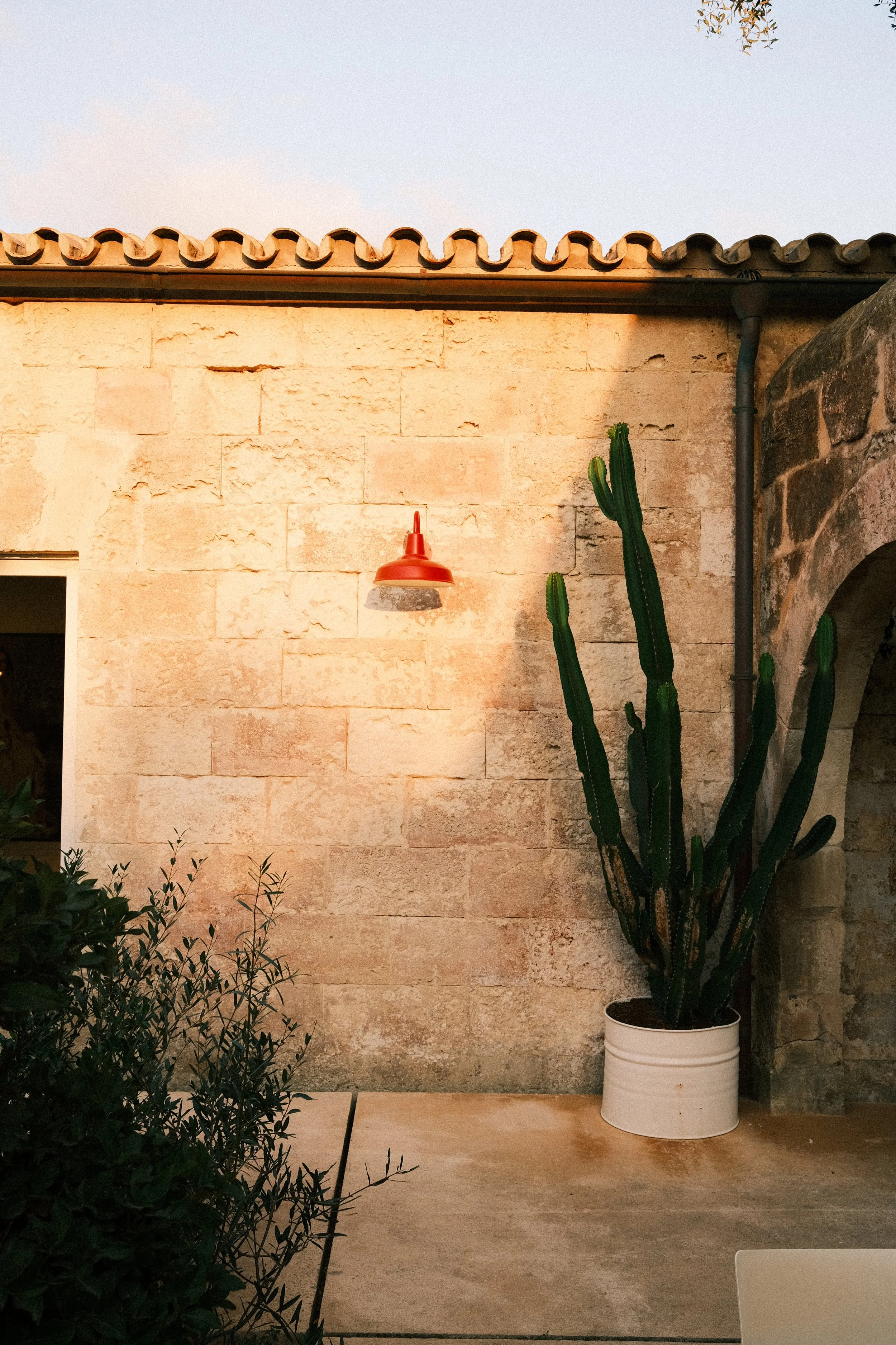 Mur en pierre beige avec une grande plante de cactus dans un pot blanc, lampe orange fixée au mur, extérieur avec ciel clair.