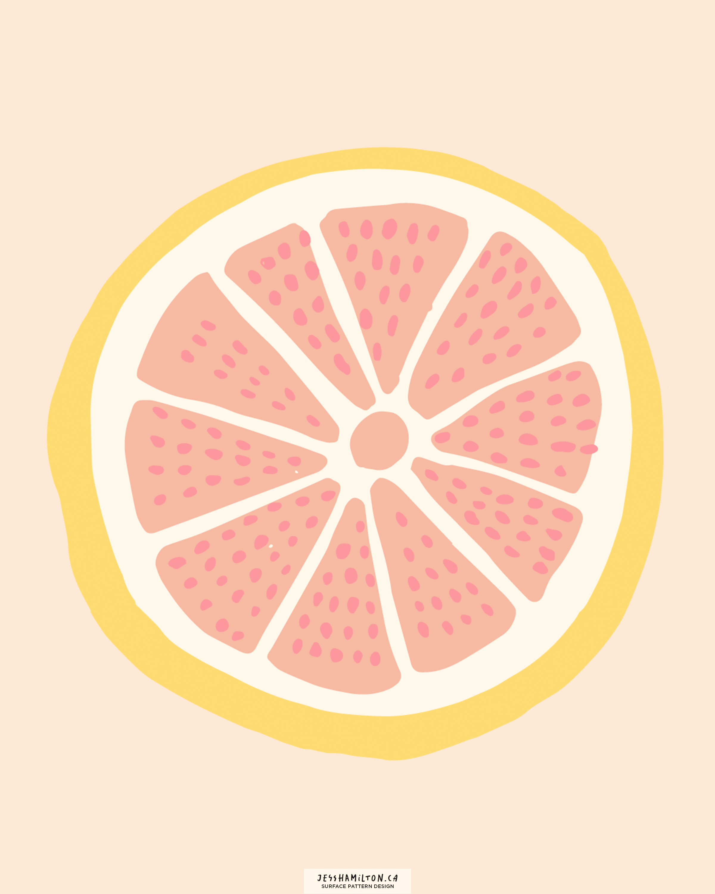 jesshamilton-illustrations-orange you glad20.png