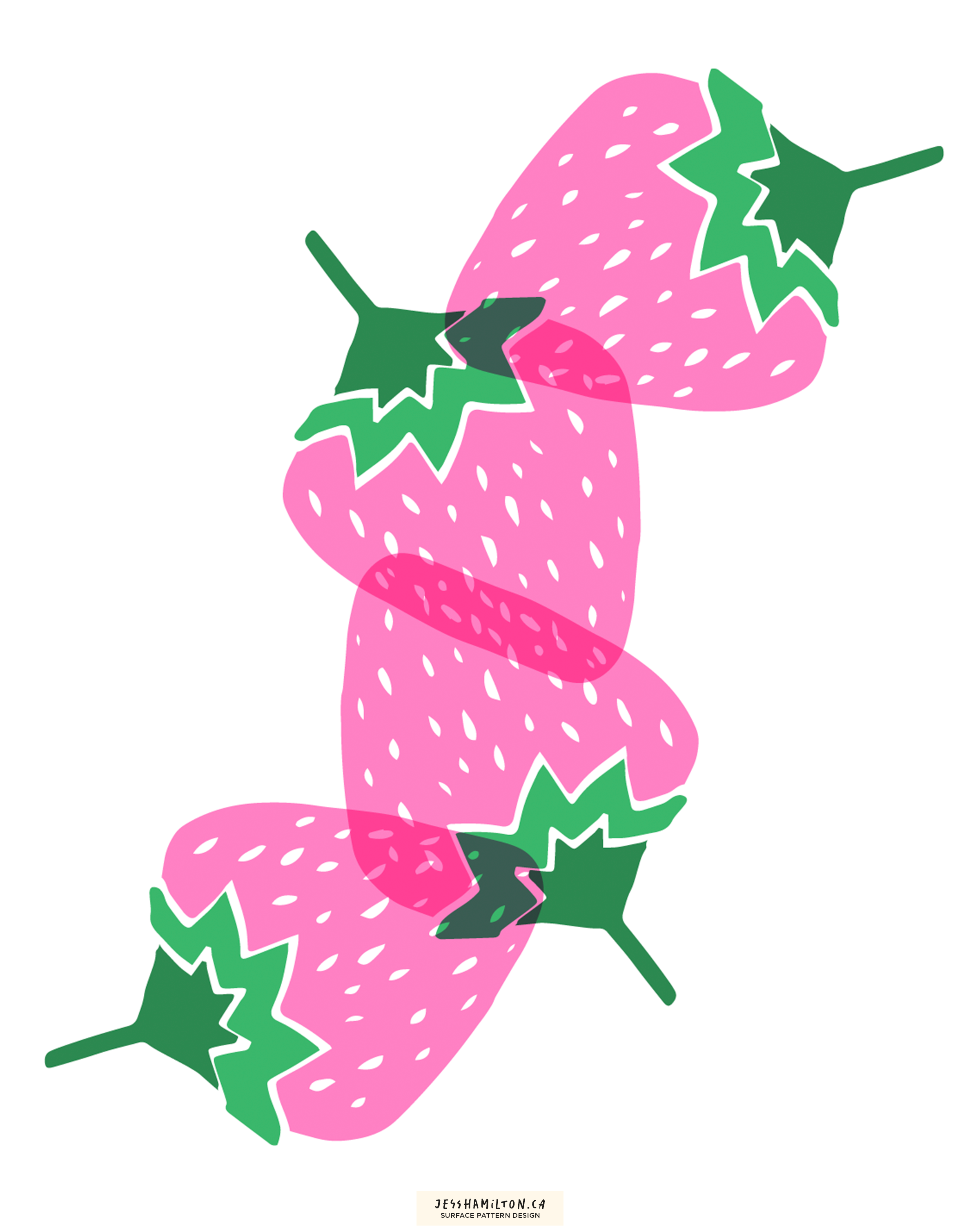 jesshamilton-illustrations-strawberry season18.png