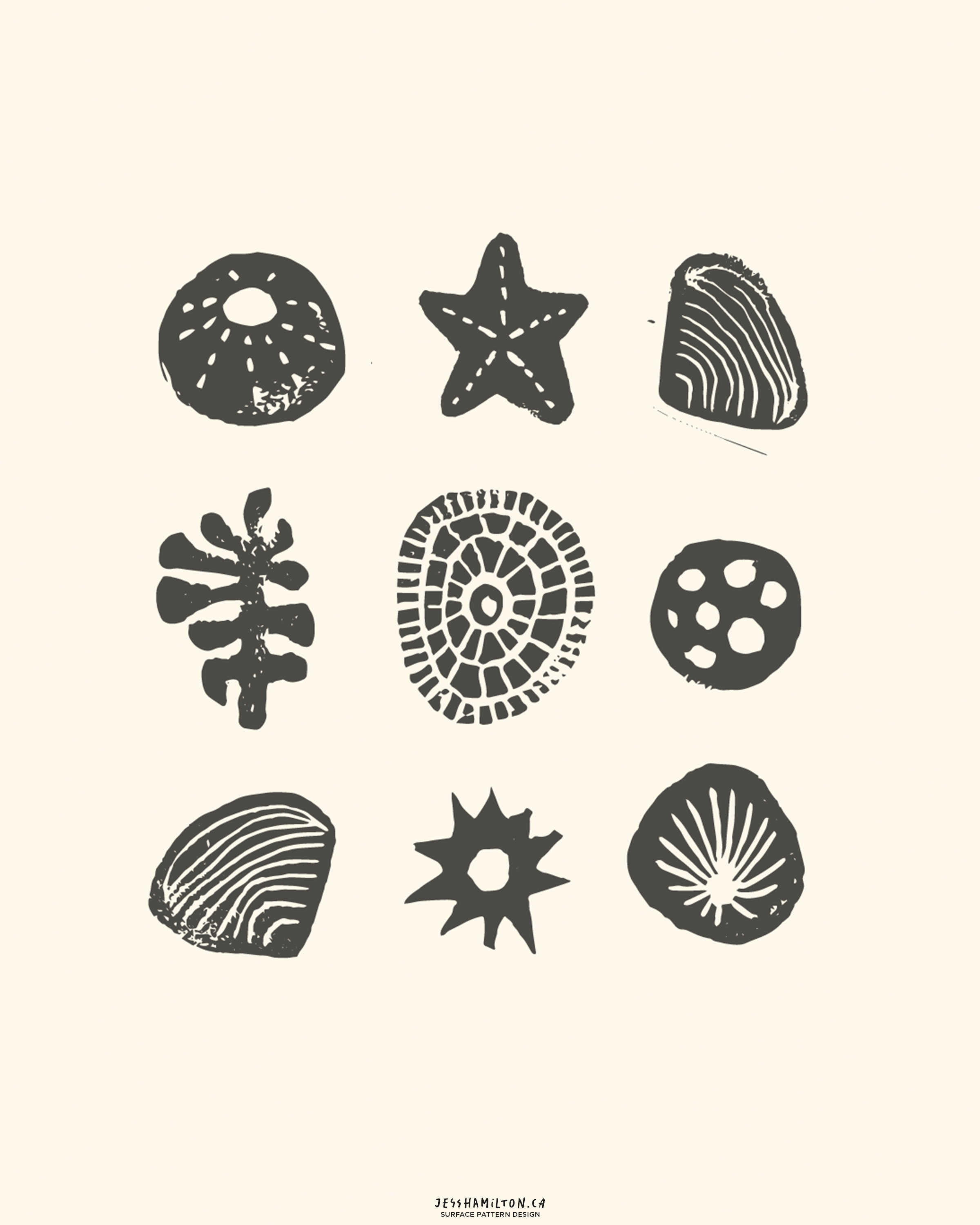 jesshamilton-illustrations-shell island11.png