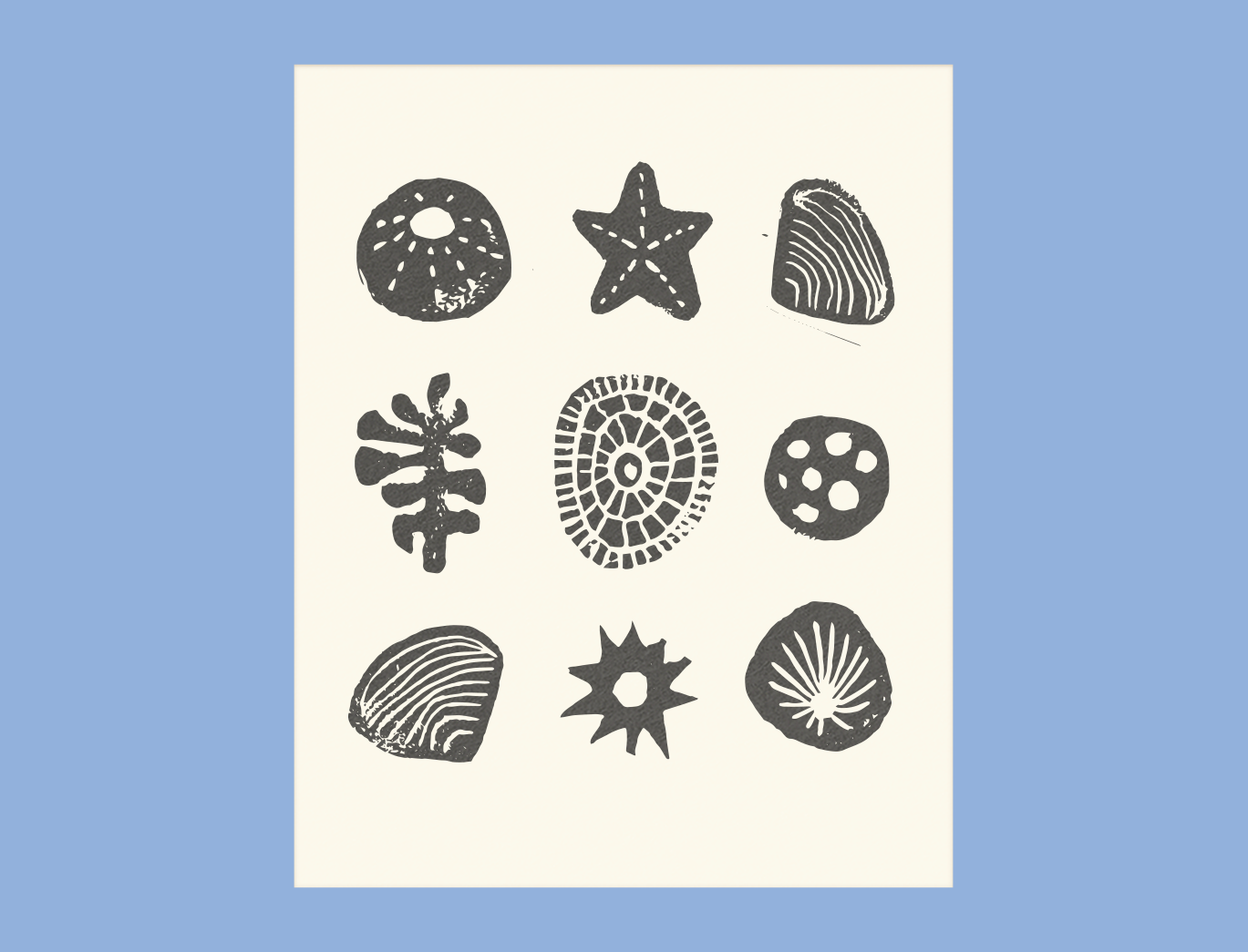 Collection of nine black and white seashell illustrations arranged in a 3x3 grid on a white background with a light blue border.