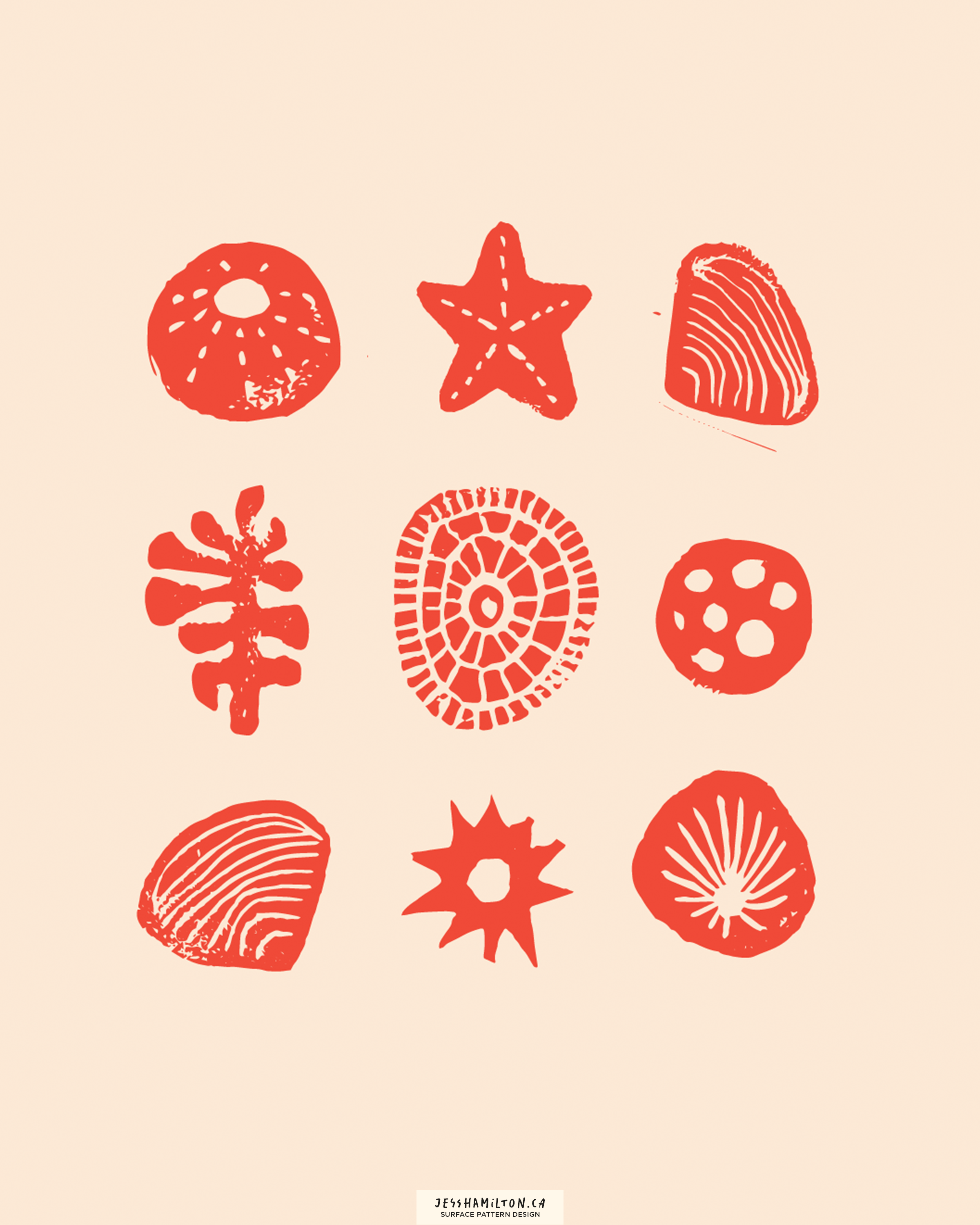 jesshamilton-illustrations-shell island12.png