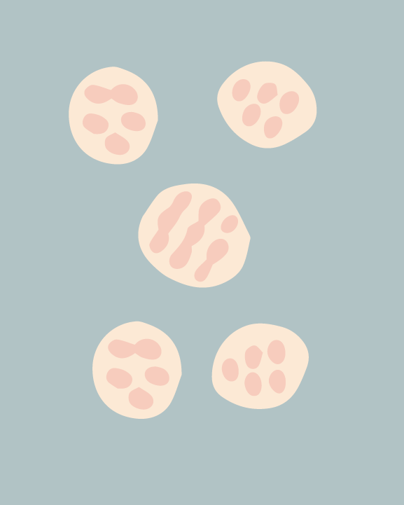 Artboard 1 copy 8.png