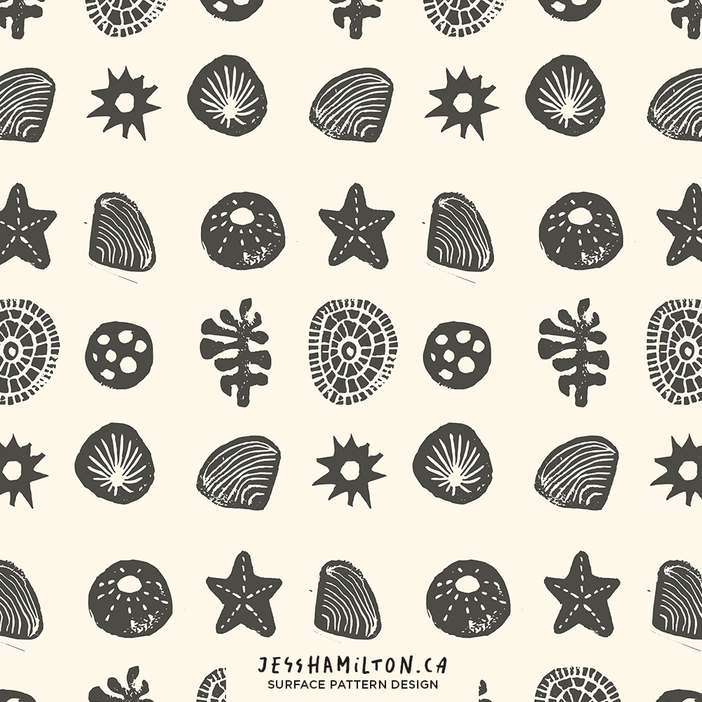 jesshamilton- shell island new watermark5.png
