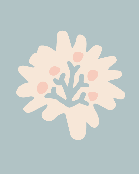 Artboard 1 copy 5.png