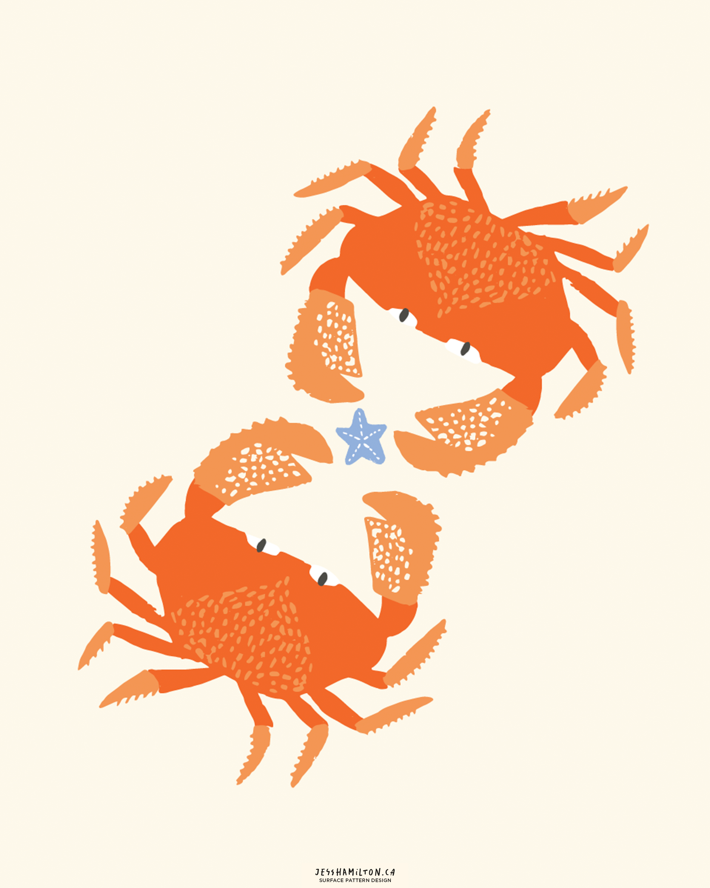 jesshamilton-illustrations-coastal magic7.png