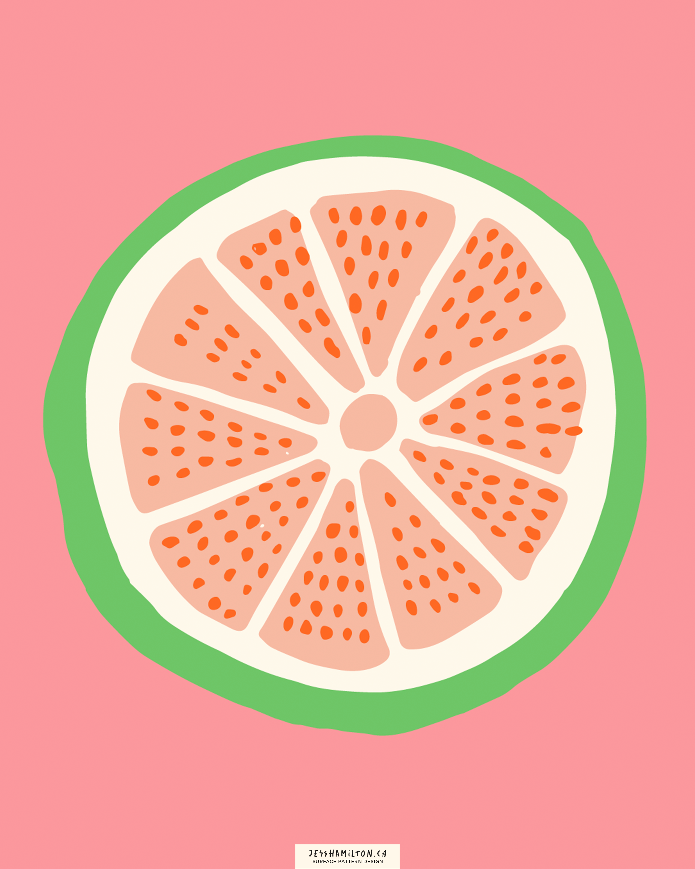 jesshamilton-illustrations-orange you glad11.png