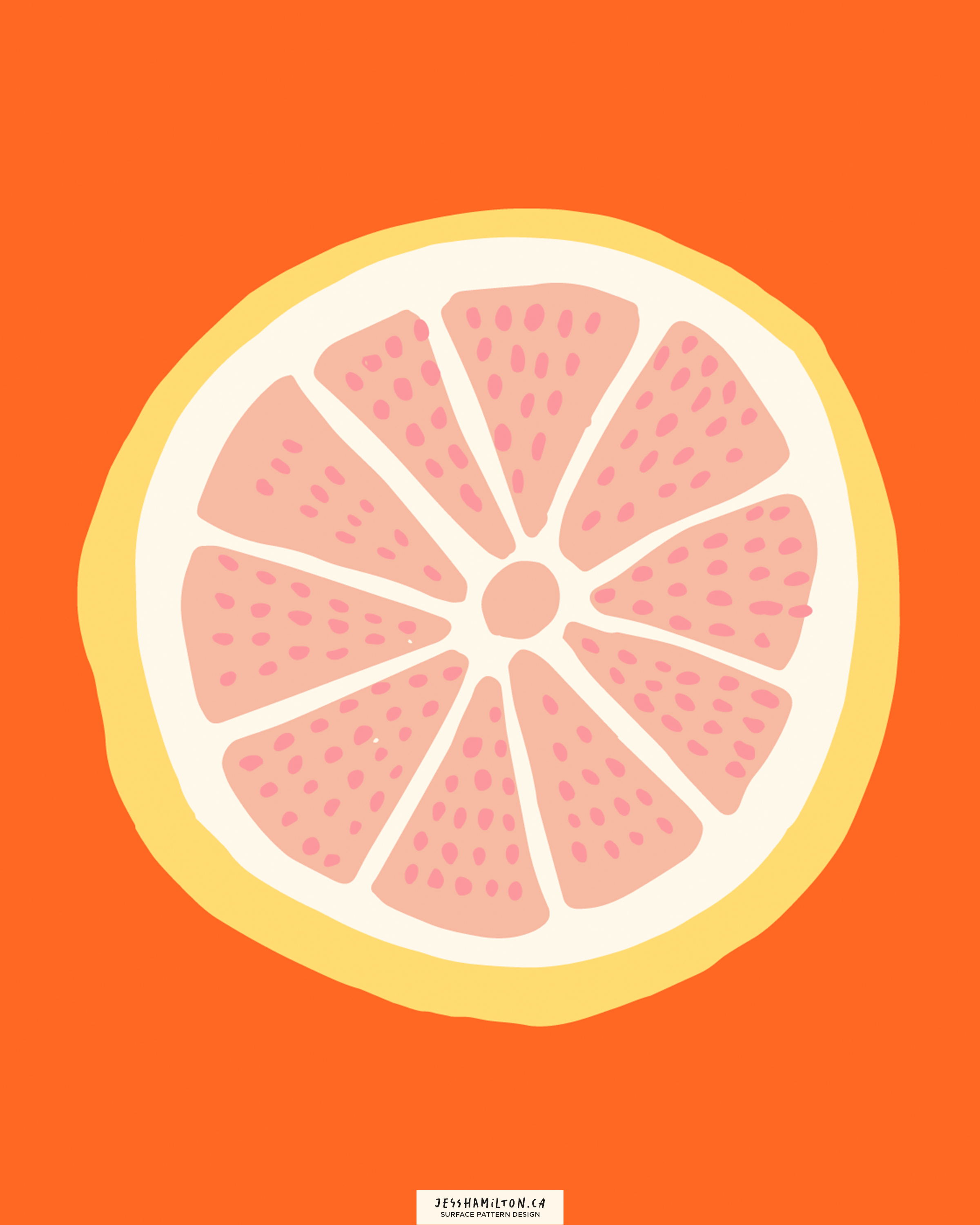 jesshamilton-illustrations-orange you glad14.png