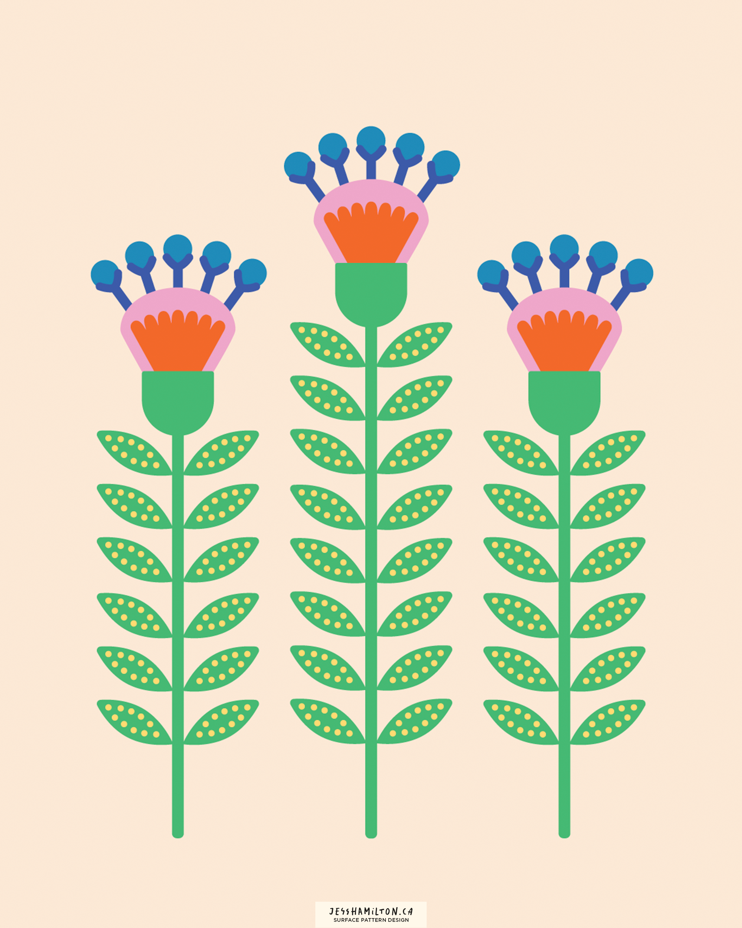 jesshamilton-illustrations-funkyflorals21.png