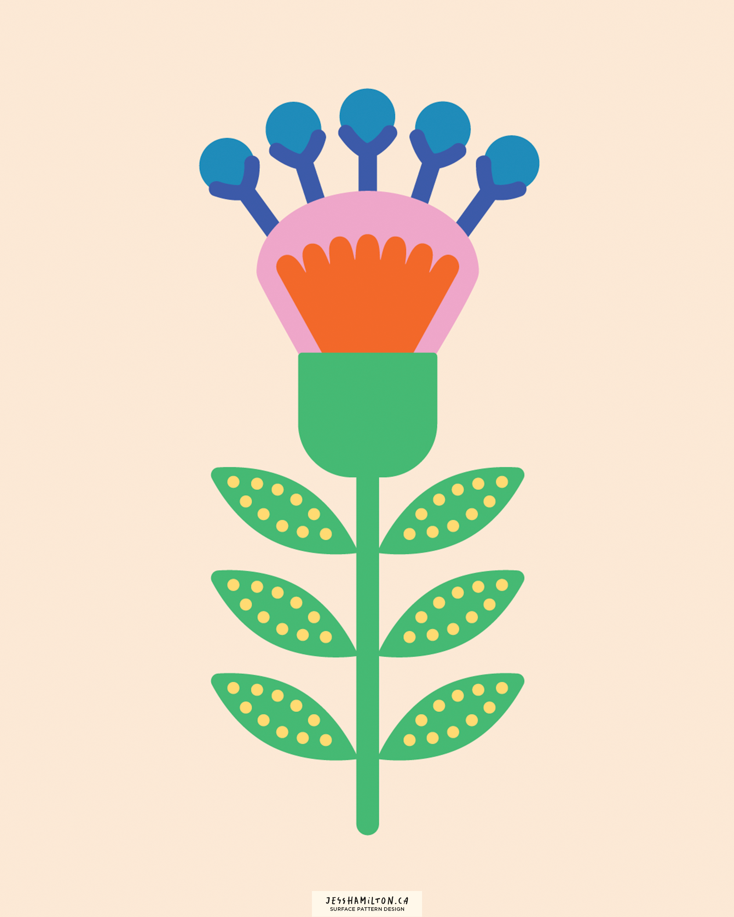 jesshamilton-illustrations-funkyflorals23.png
