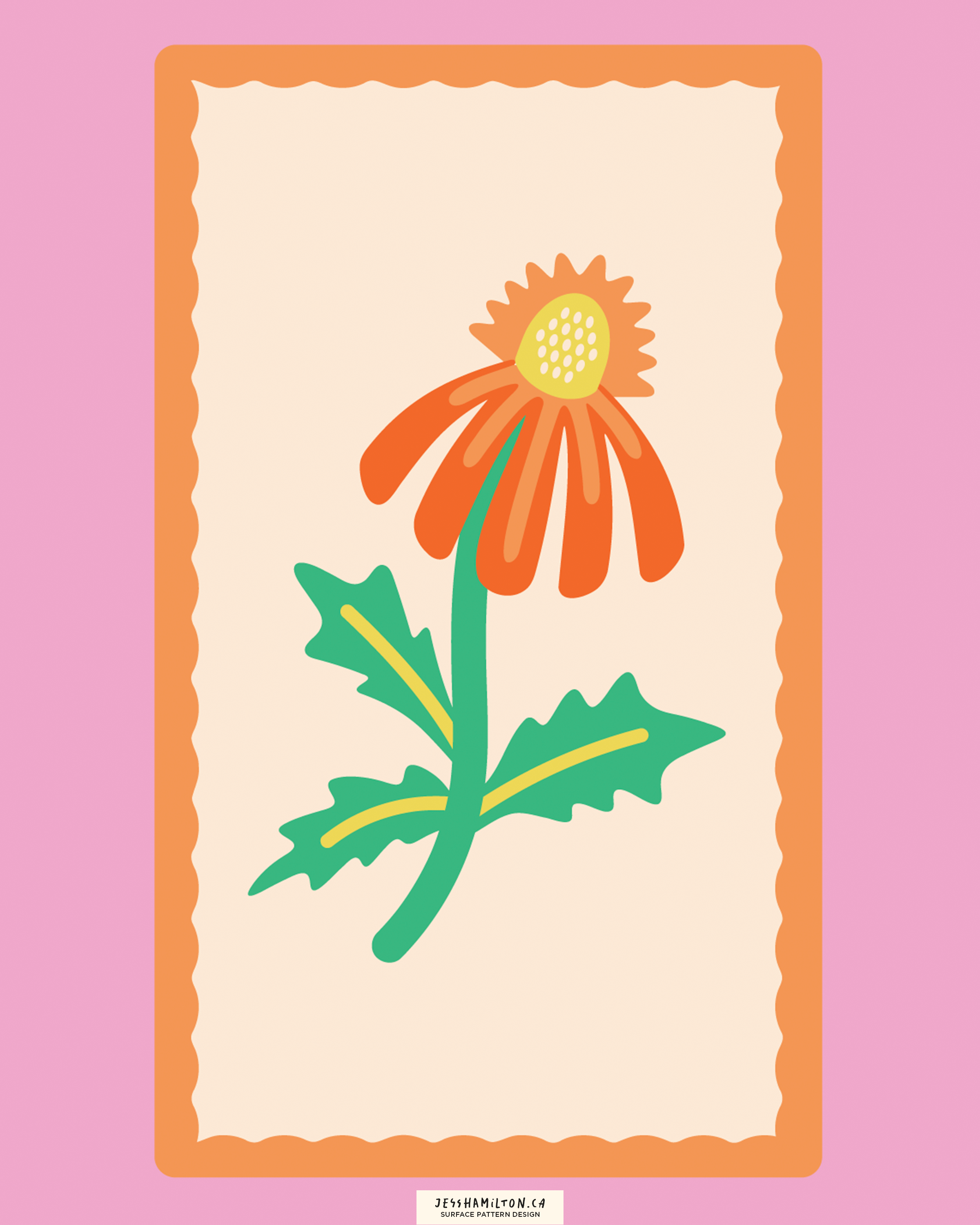 jesshamilton-illustrations-funkyflorals3.png
