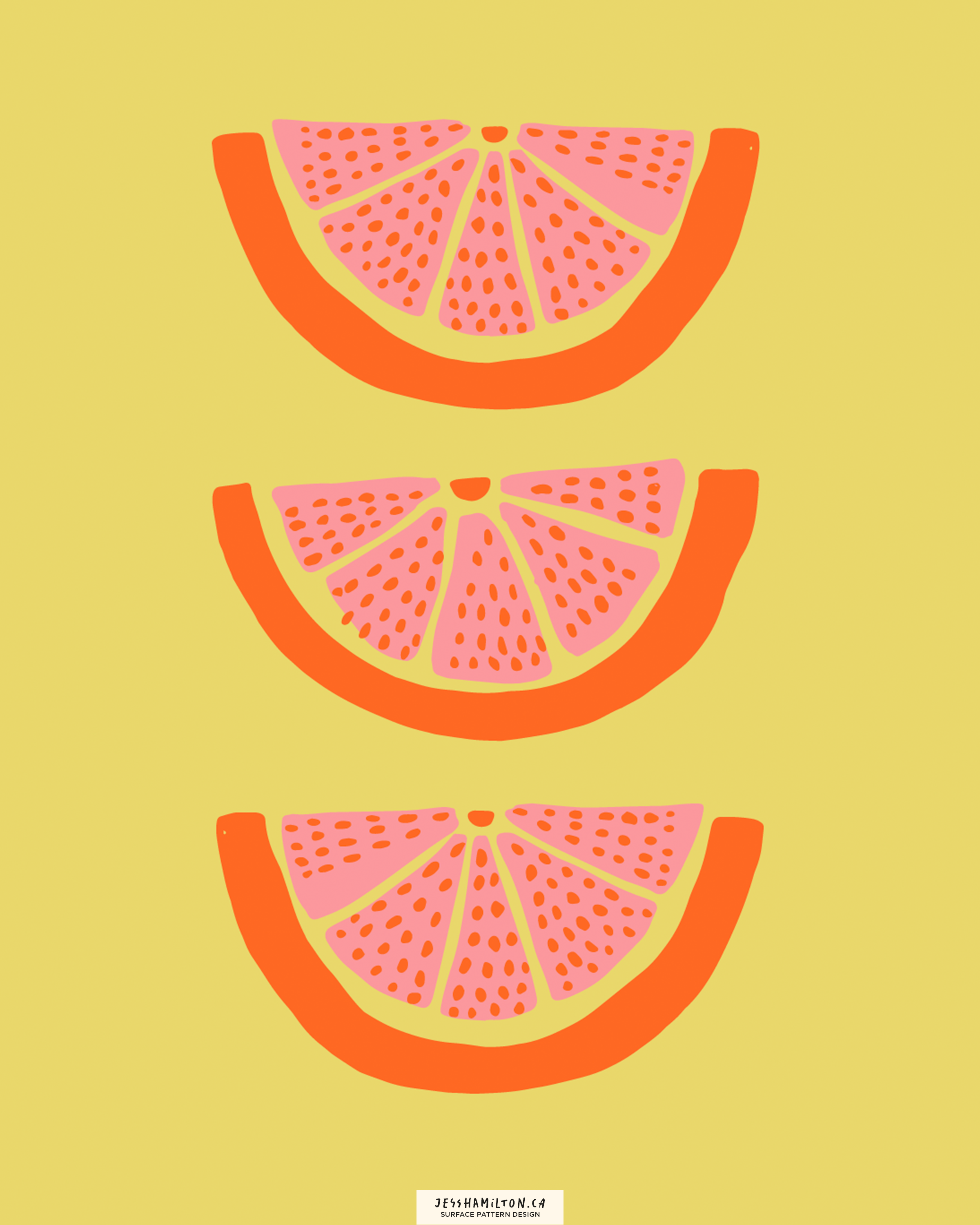 jesshamilton-illustrations-orange you glad13.png