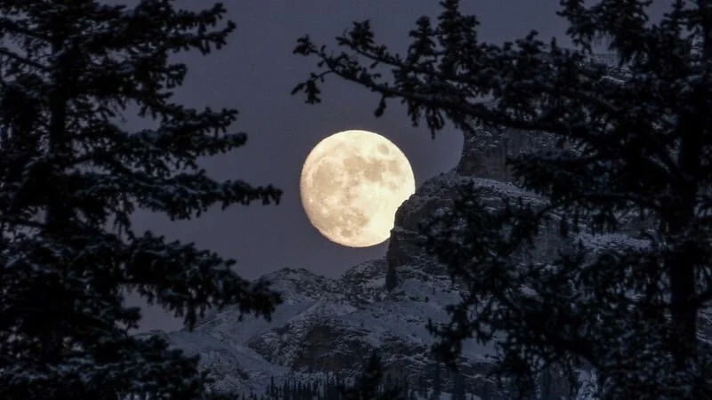 “Barn’s burnt down – Now I can see the moon”   Mizuta MasahideWhat we learned in our Café Conversations: Talking about Death and DyingWhen we talk about death… we are often surprised to discover humour, warmth and energy in our conversations.&nbsp; …