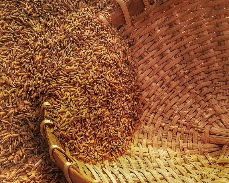 grains.jpg