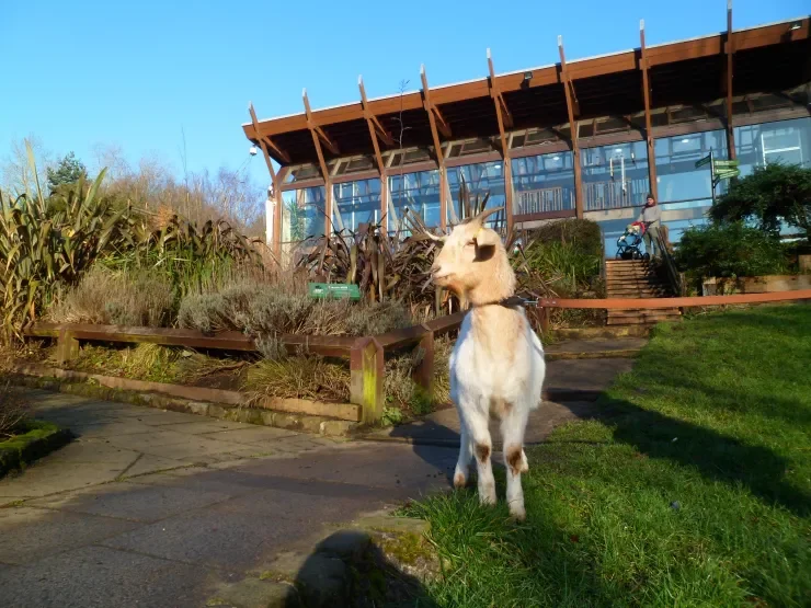 Meanwood Valley Urban Farm