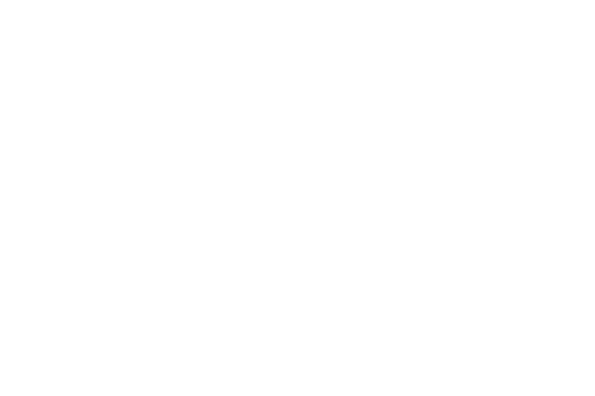 Logo for Ladies of Virtue, featuring the tagline 'restoring the truth, building the future' in white text on a black background.