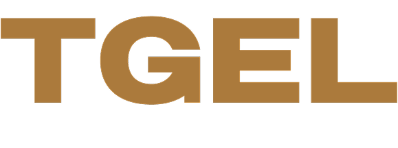 TGEL Partners &amp; Associates