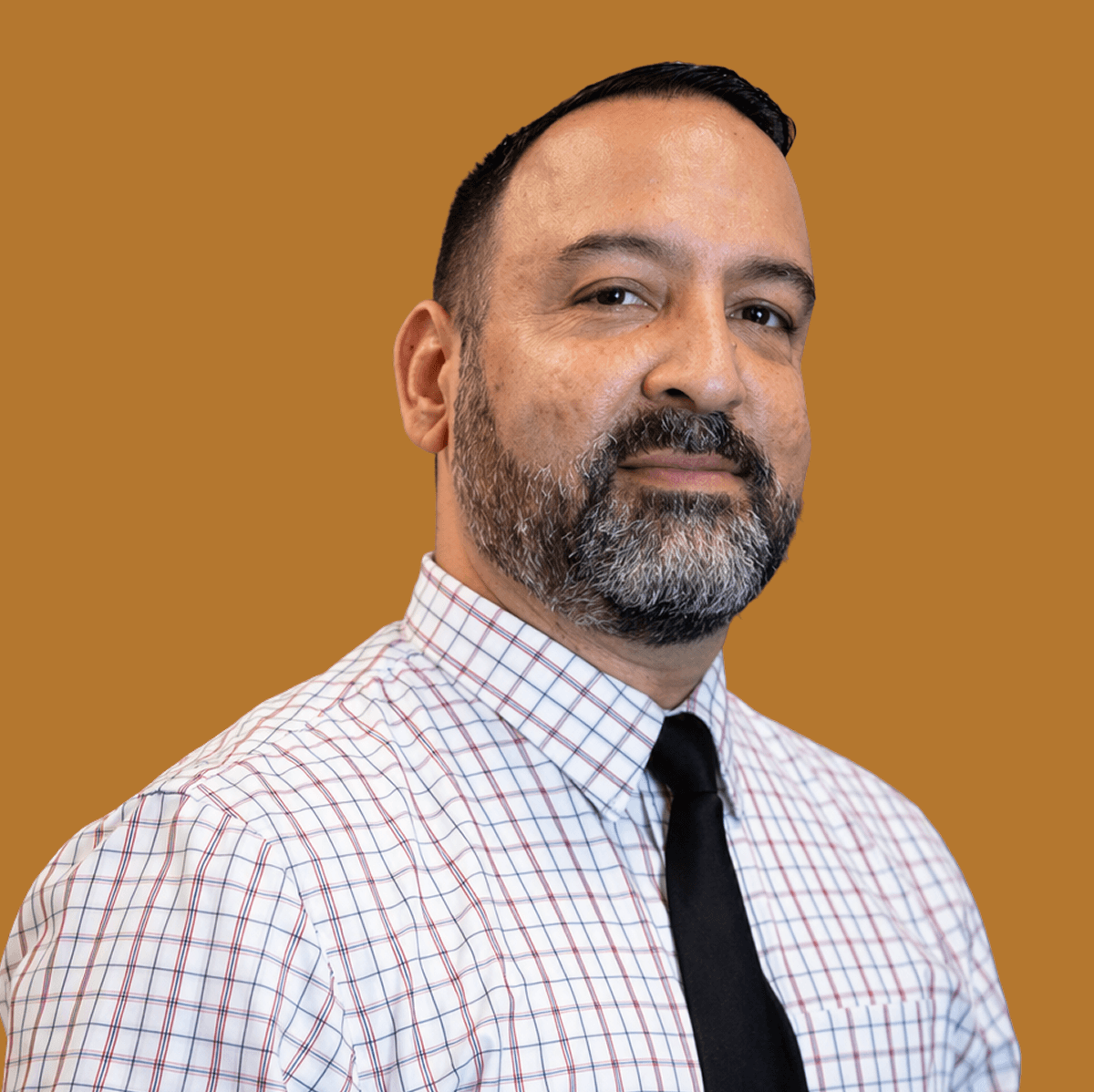 A middle-aged man with a beard, wearing a checkered dress shirt and black tie, posing against a solid brown background.