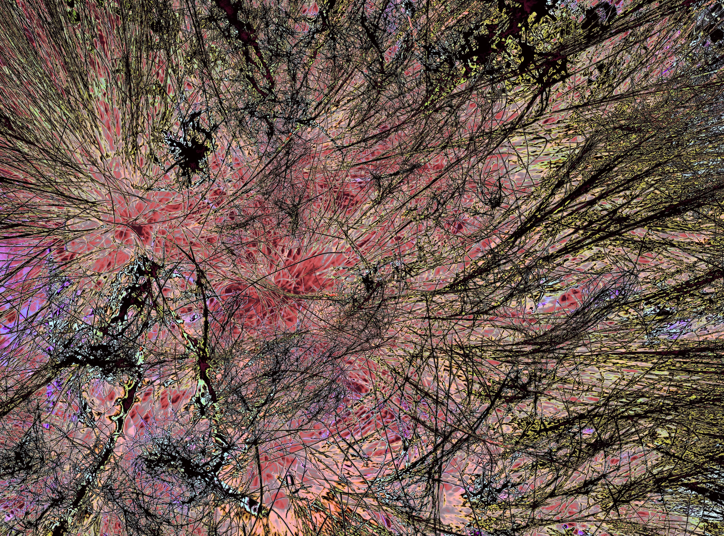 Screenshot 2025-10-08 at 12.15.02 PM.png