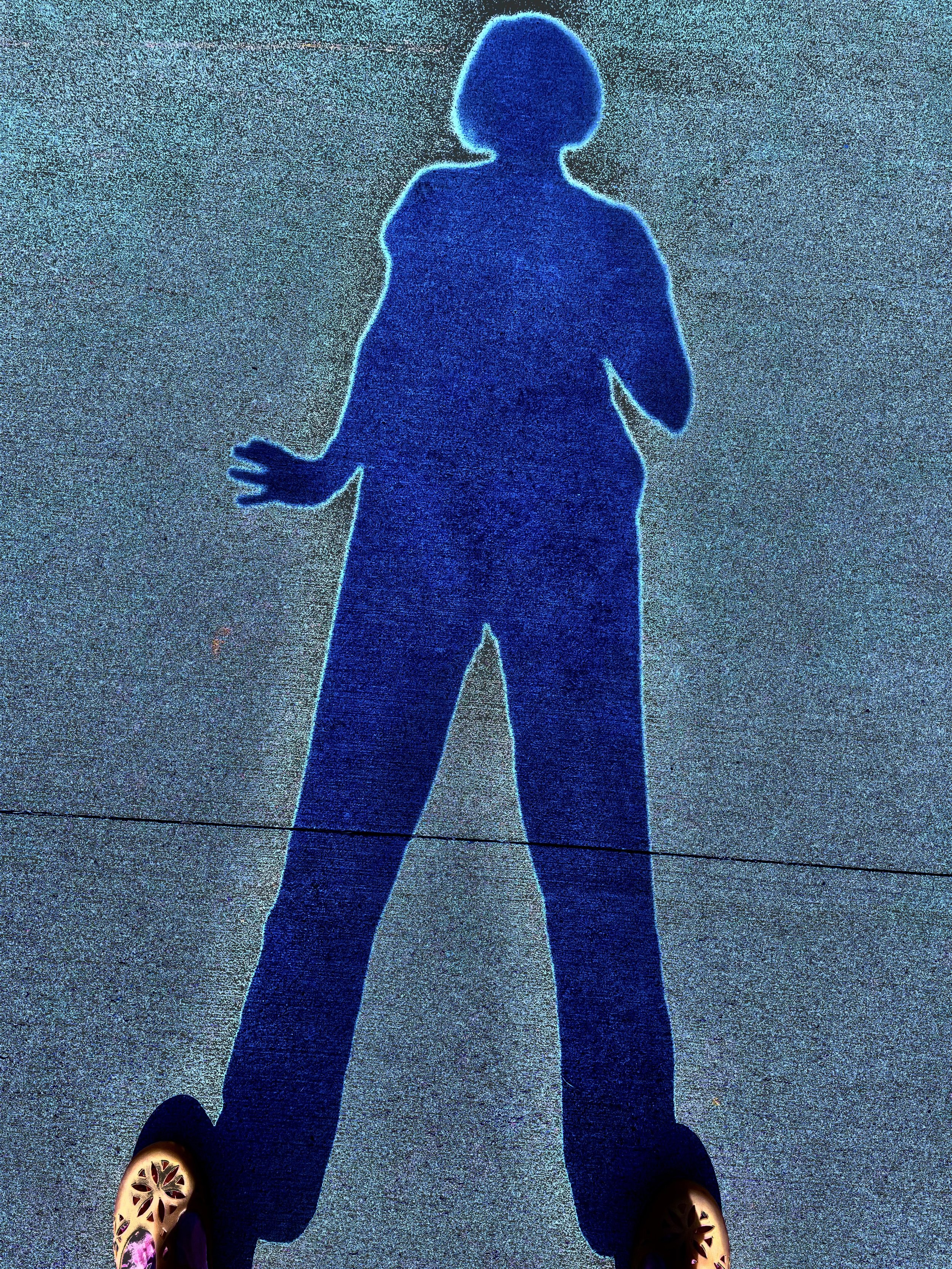 Portrait of the Artist as a Shadow