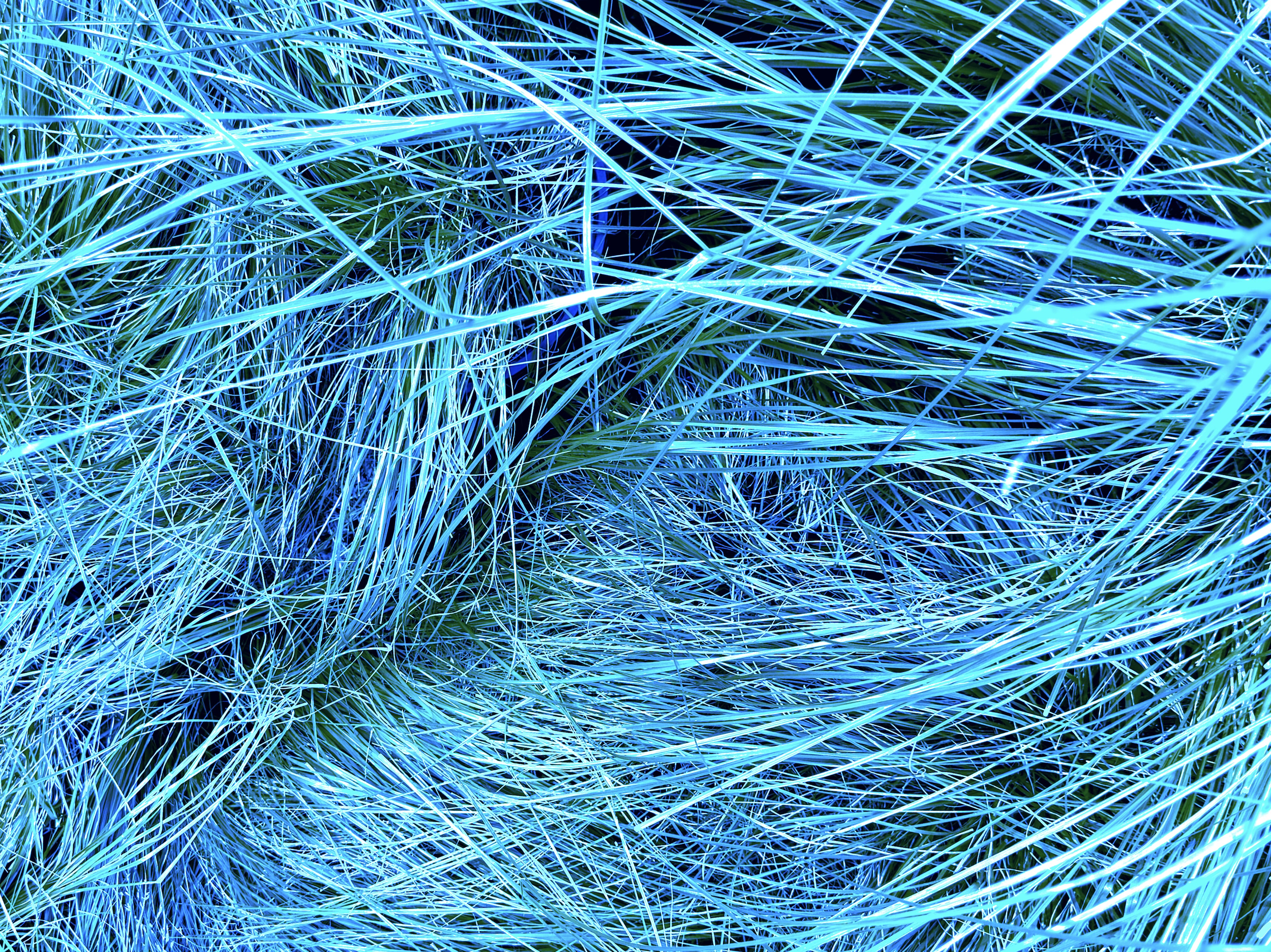 Screenshot 2025-10-08 at 12.17.00 PM.png