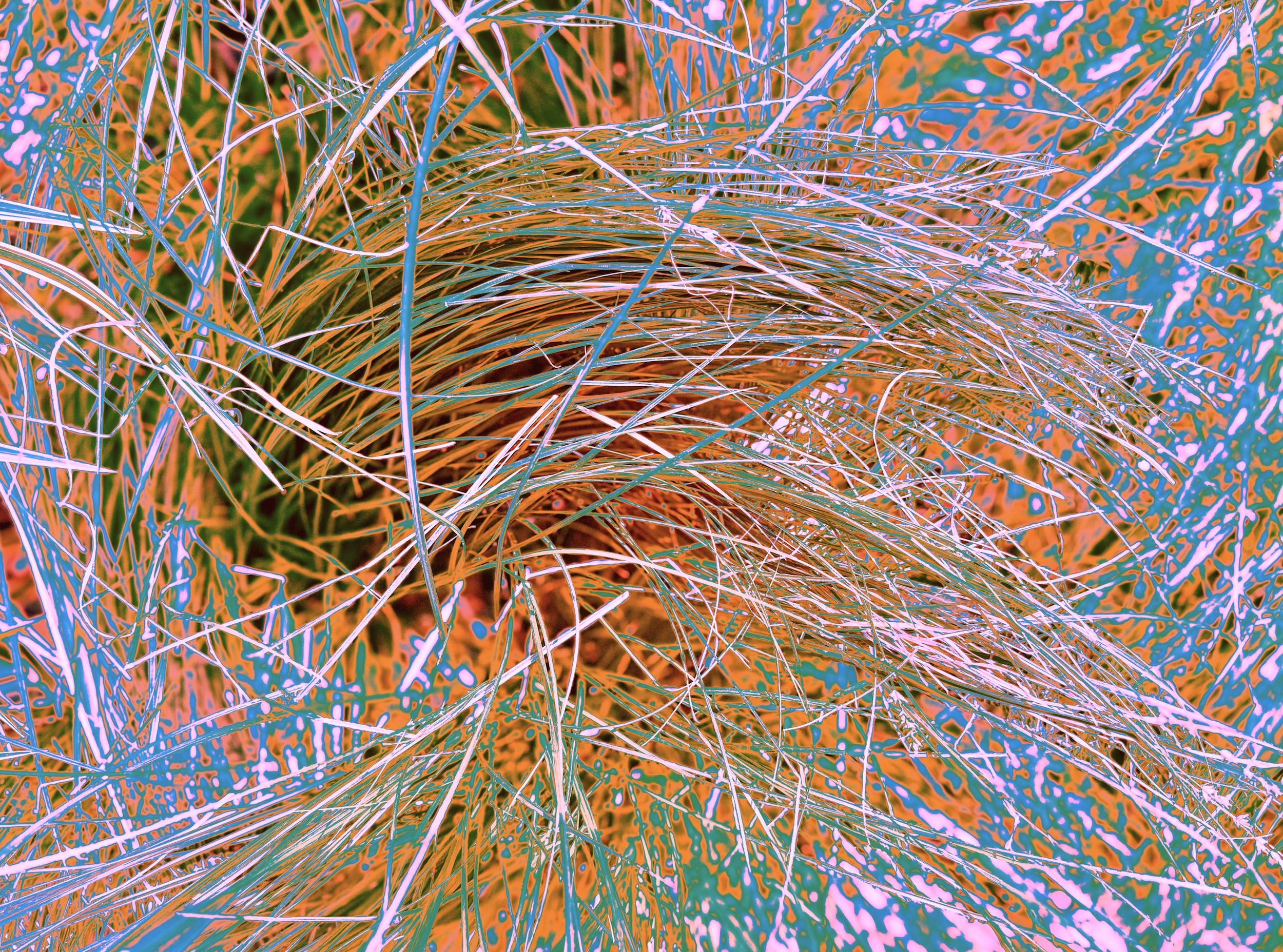 Screenshot 2025-10-08 at 12.17.12 PM.png