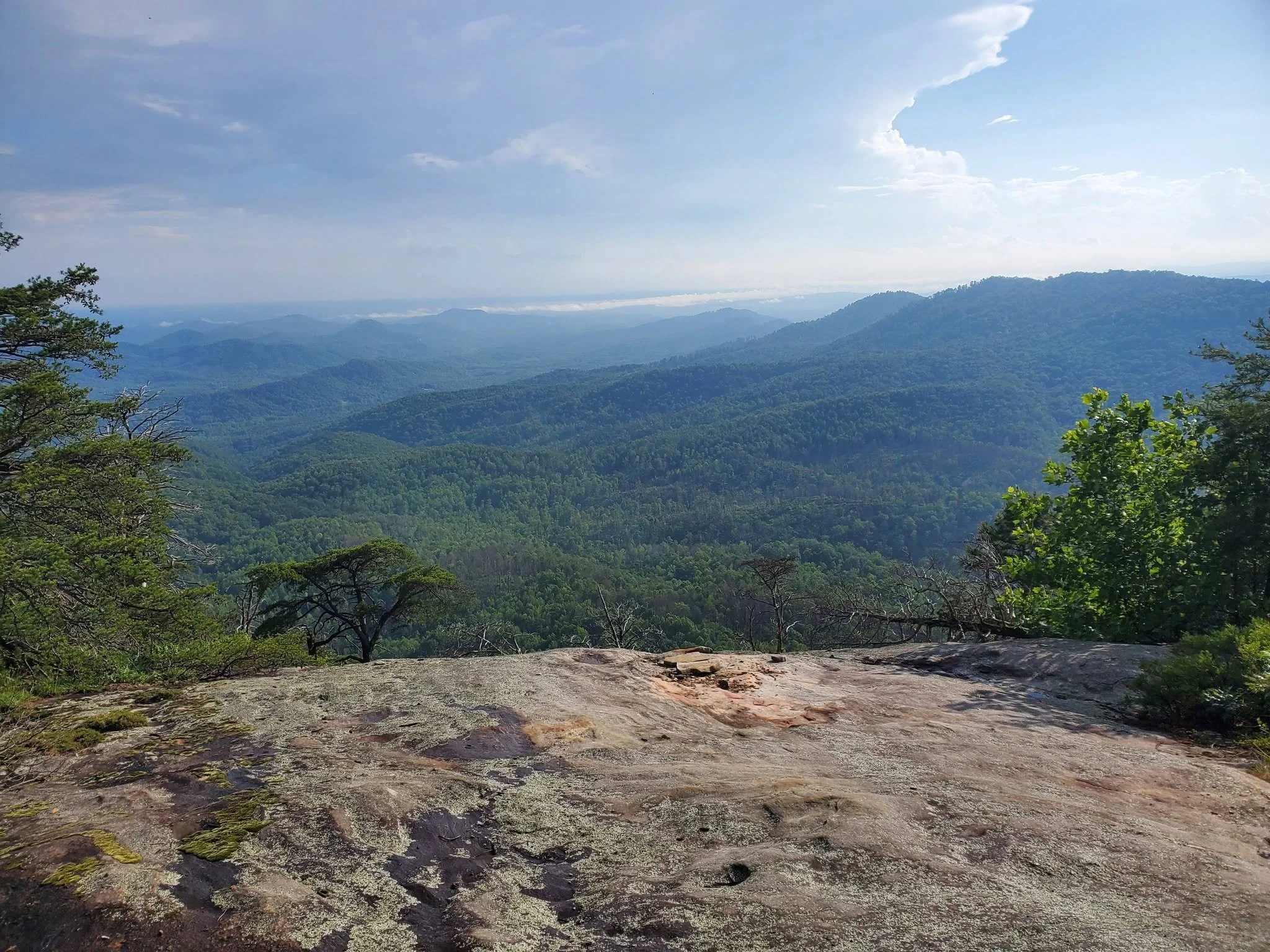 Five Days, One Bear, and 77 Miles: A Foothills Trail Thru-Hike