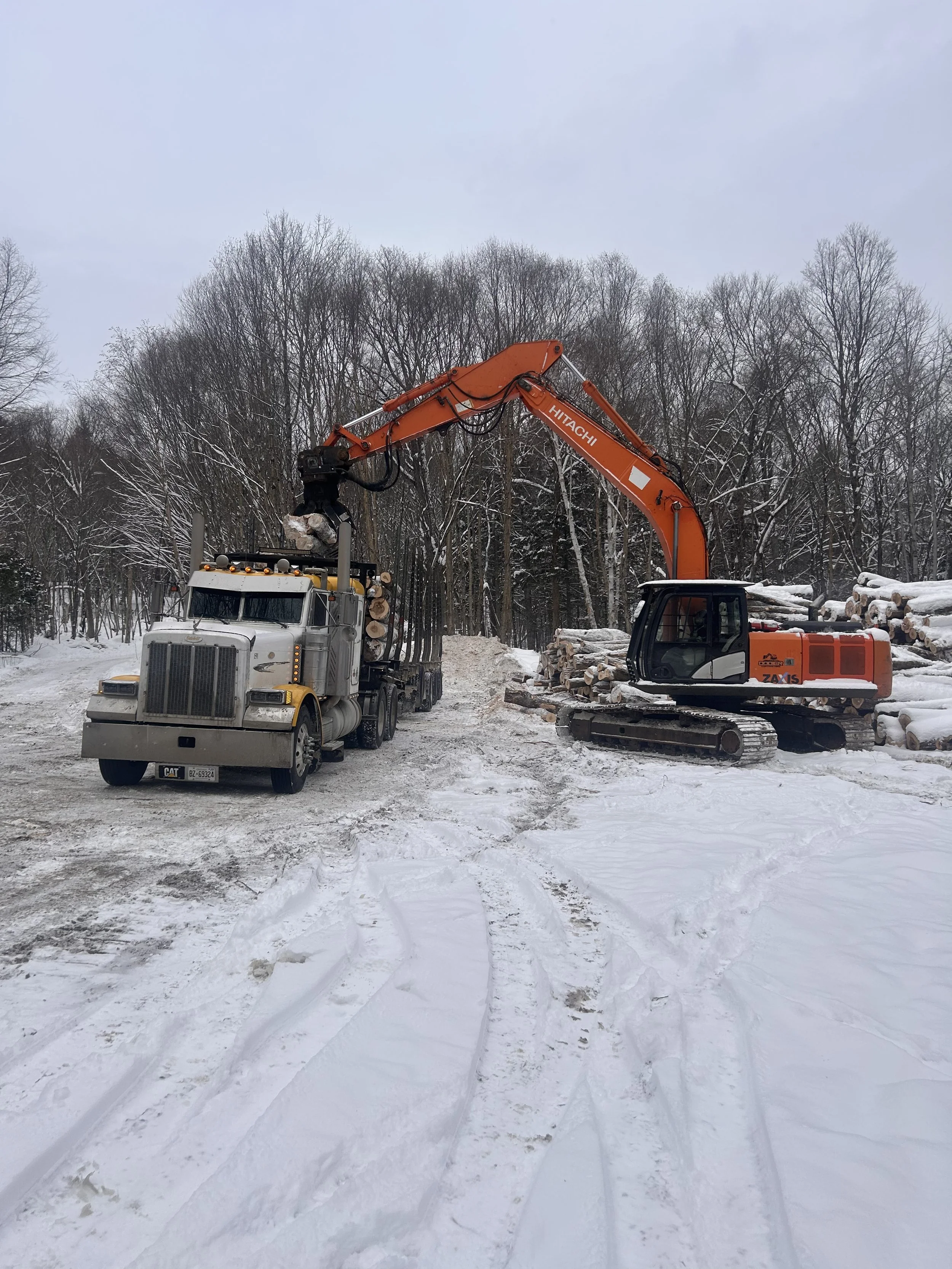 A large orange excavator is loading logs into a semi-truck in a snowy outdoor area surrounded by trees.