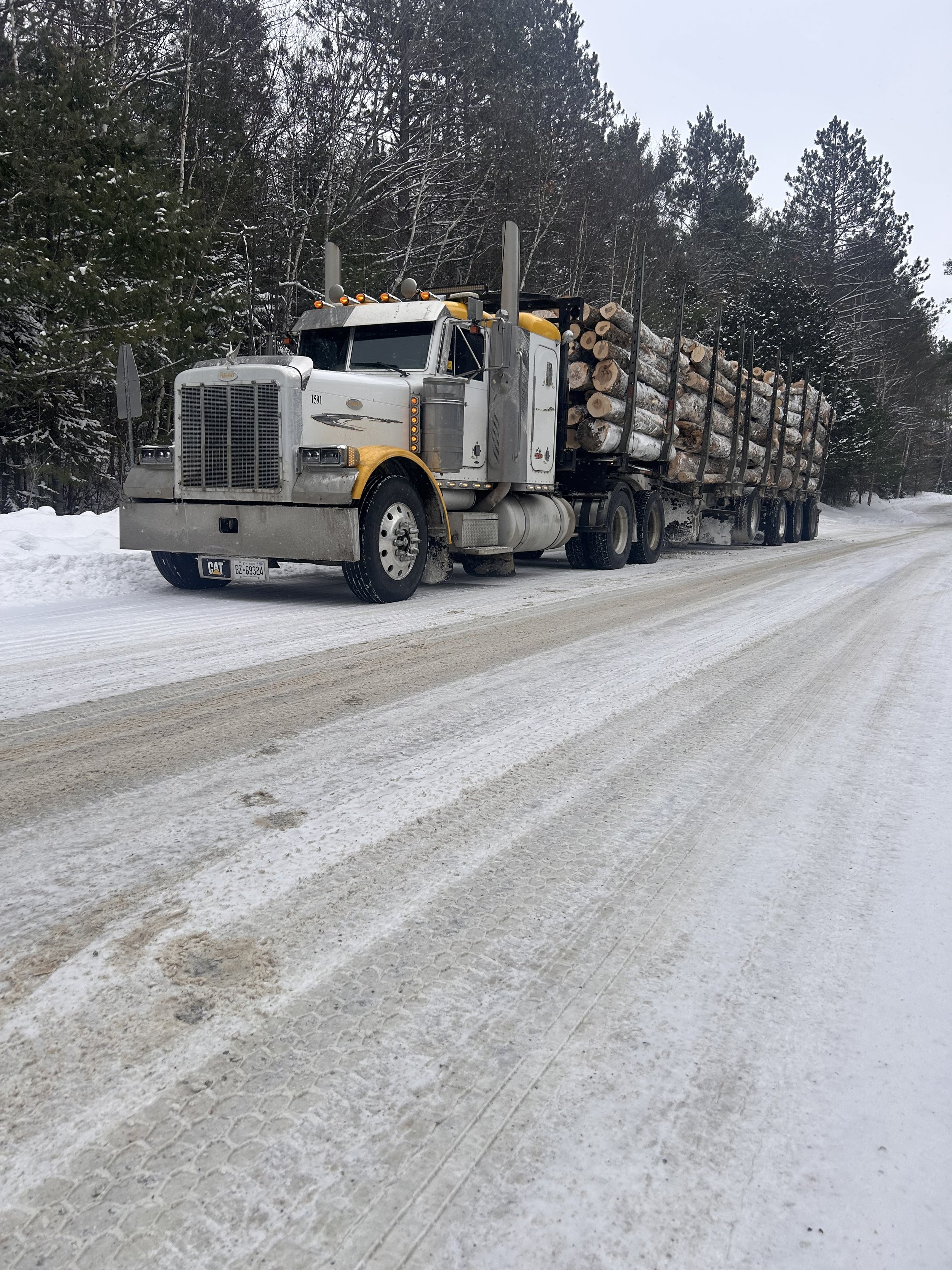 A large semi-truck carrying logs drives on a snowy, icy road through a forested area during winter.