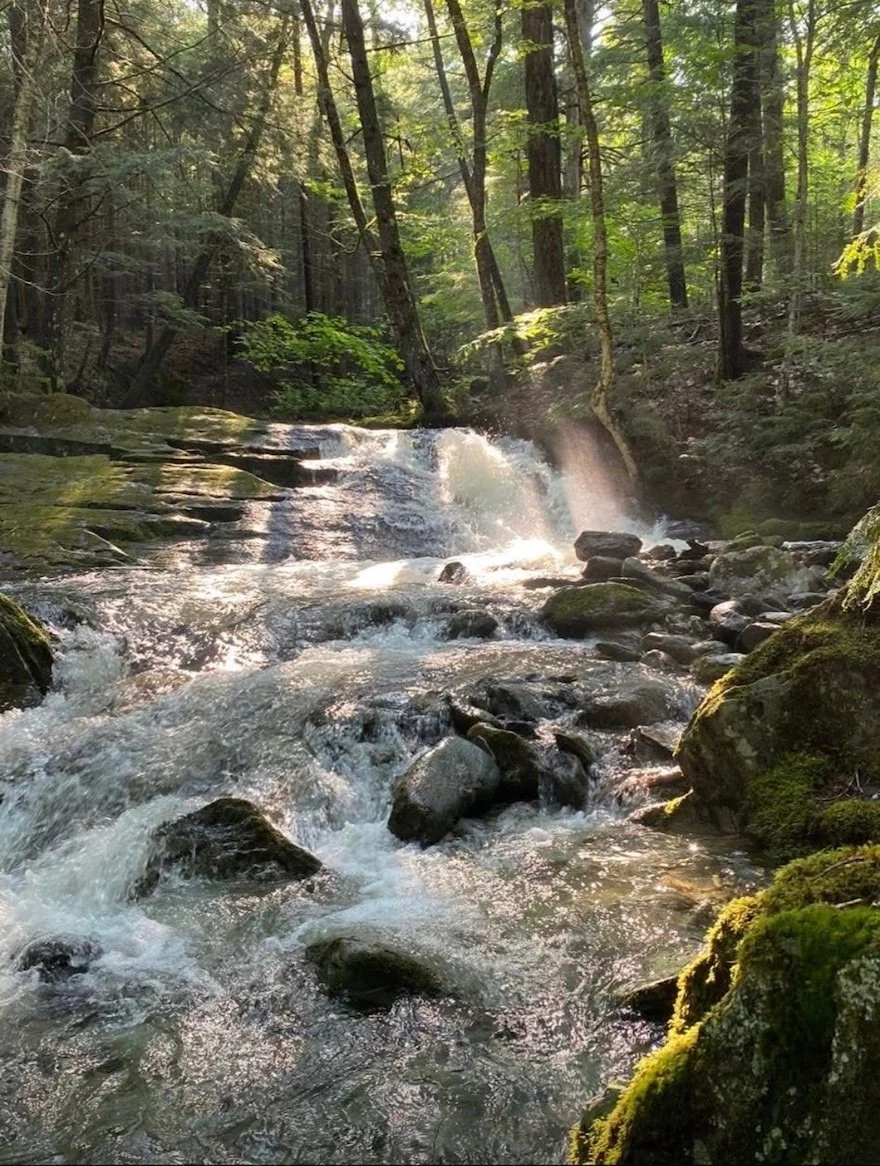 A peaceful forest scene with a small waterfall flowing over rocks, surrounded by green trees and moss-covered stones, with sunlight filtering through the trees.