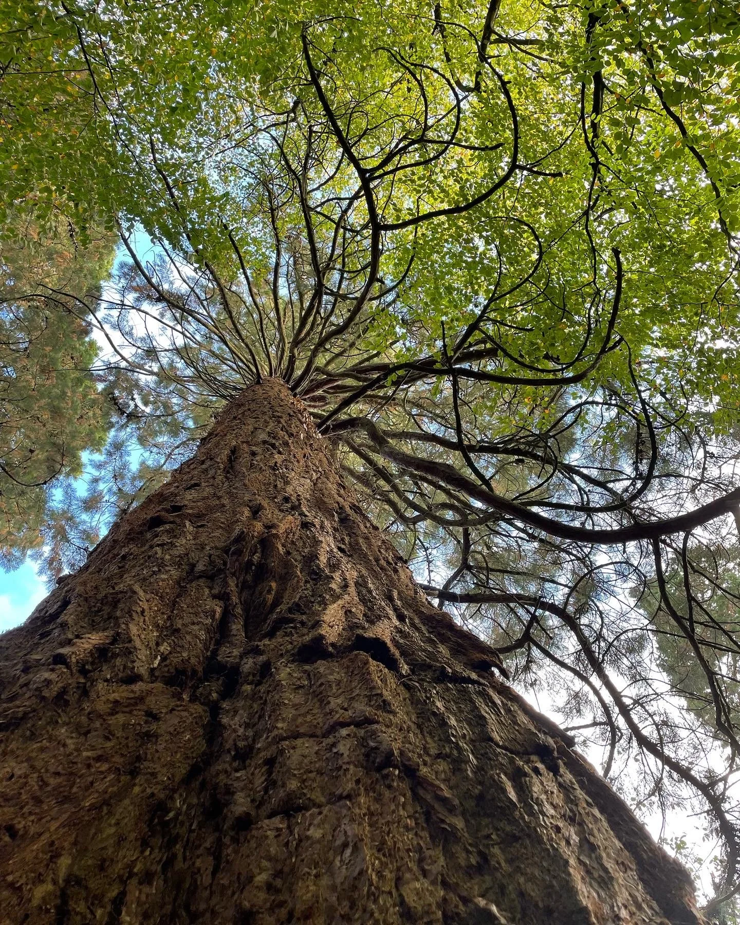 Research | Analysis | Science Communication