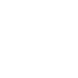 Icon of a person with a light bulb representing an idea or creativity