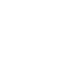 Document with a magnifying glass and upward trending graph icon