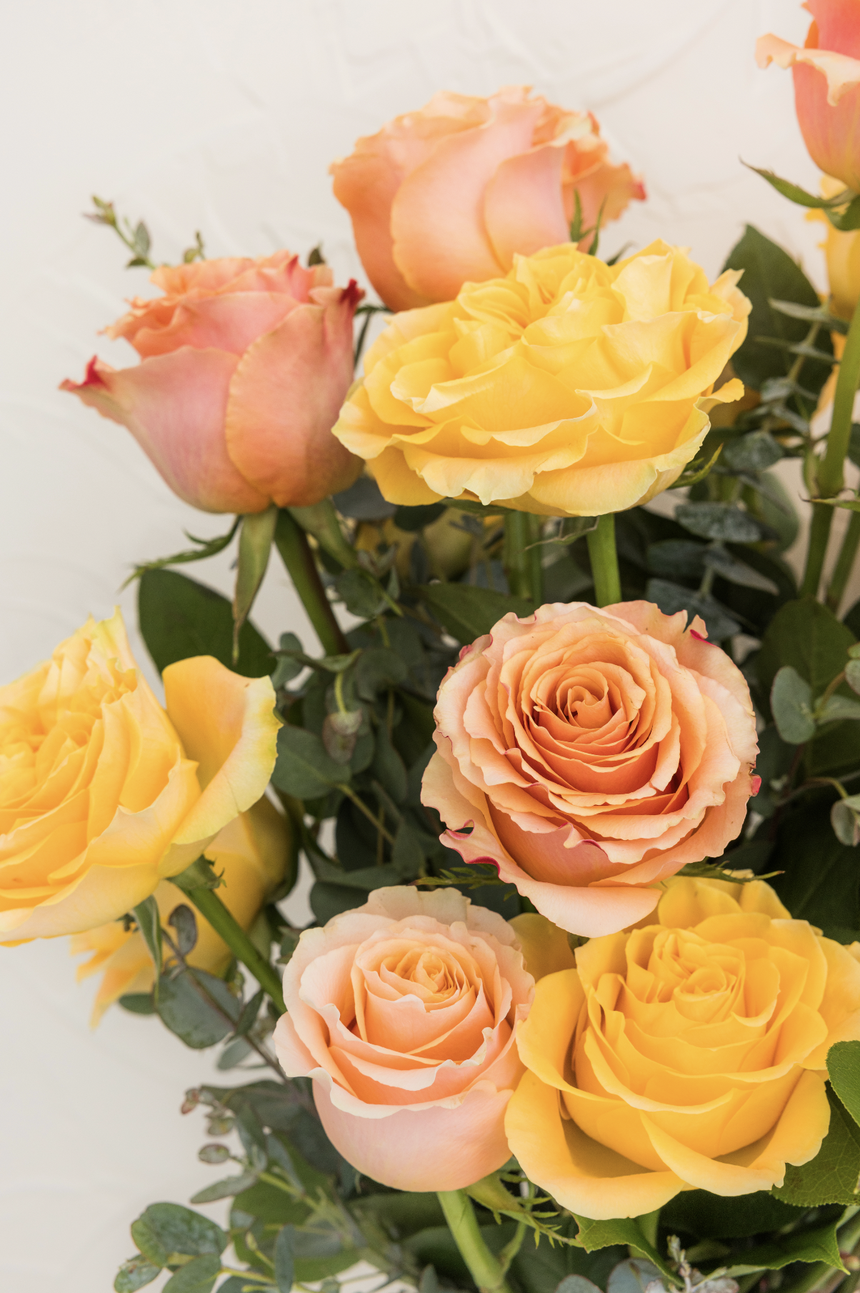 Screenshot 2026-04-07 at 3.43.47 PM.png