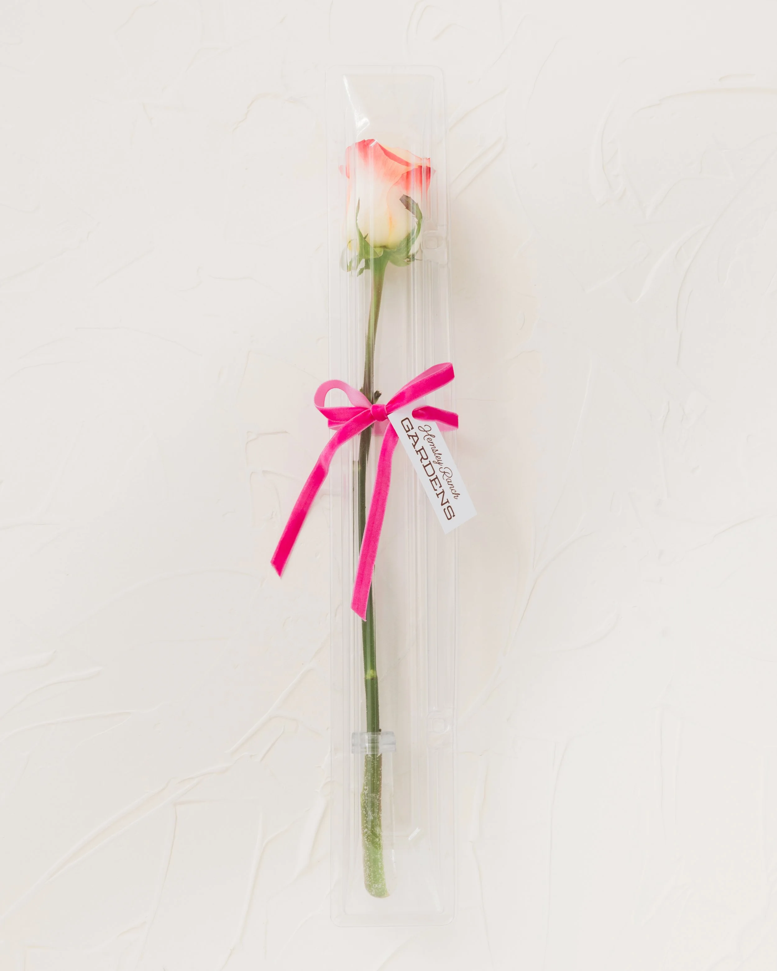 Single Rose in a Box