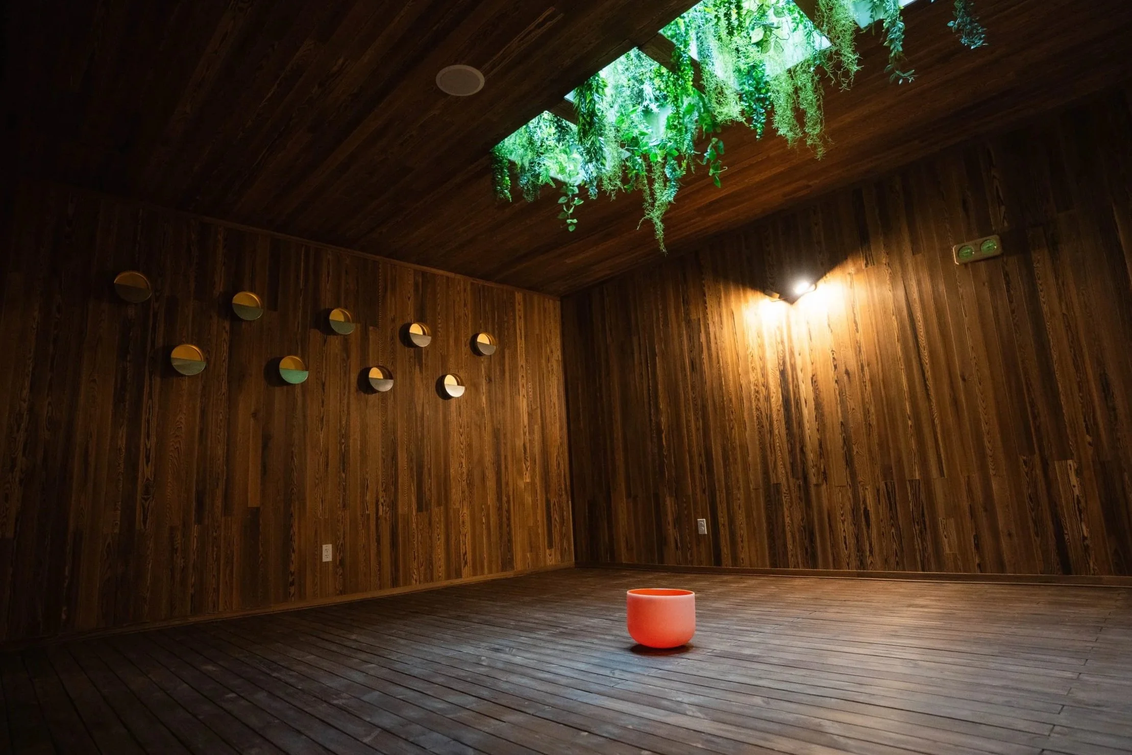 forest sauna room, stress relief sauna, nervous system support, relaxation therapy room, calming heat therapy