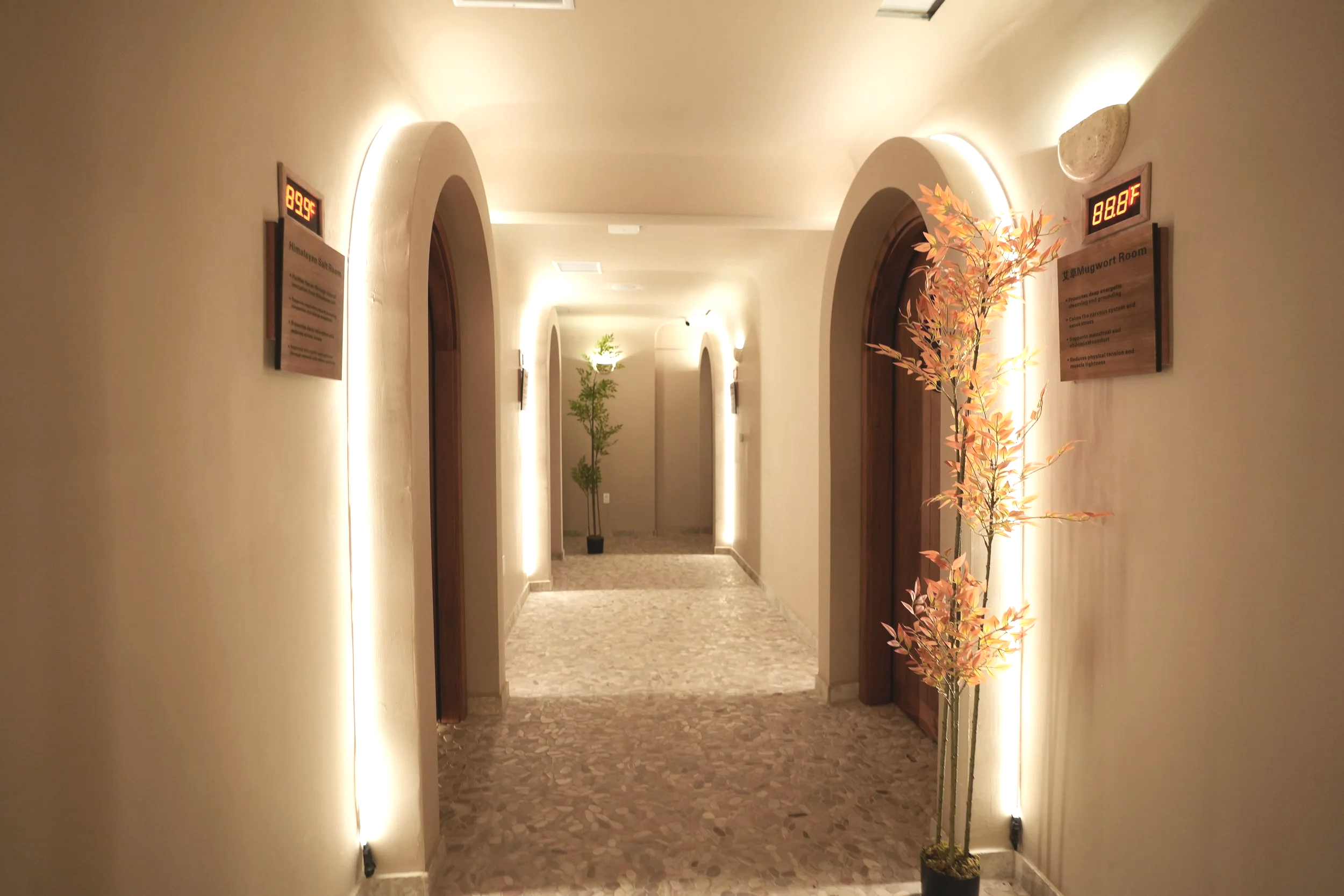 wellness center, science-backed healing center, integrated therapy center, recovery and longevity space, holistic recovery center, multi-therapy wellness system