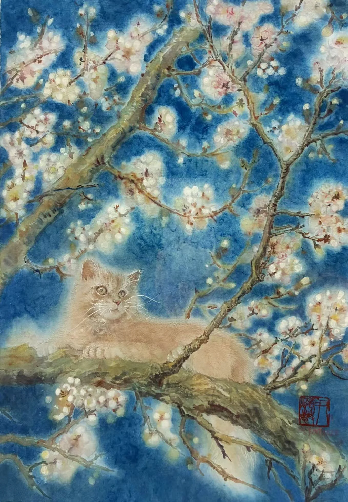 Qiang Zai