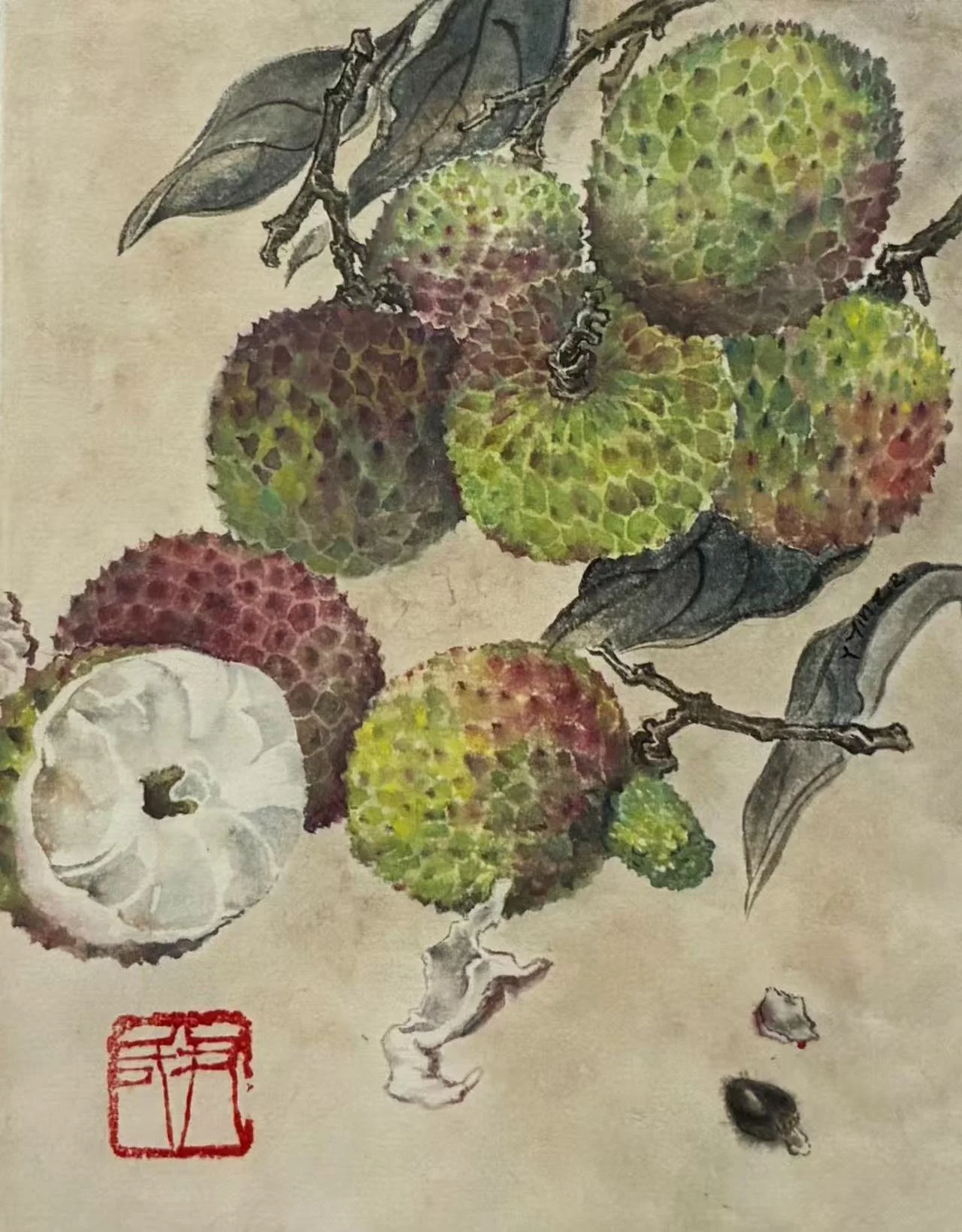 Fei Zi Xiao