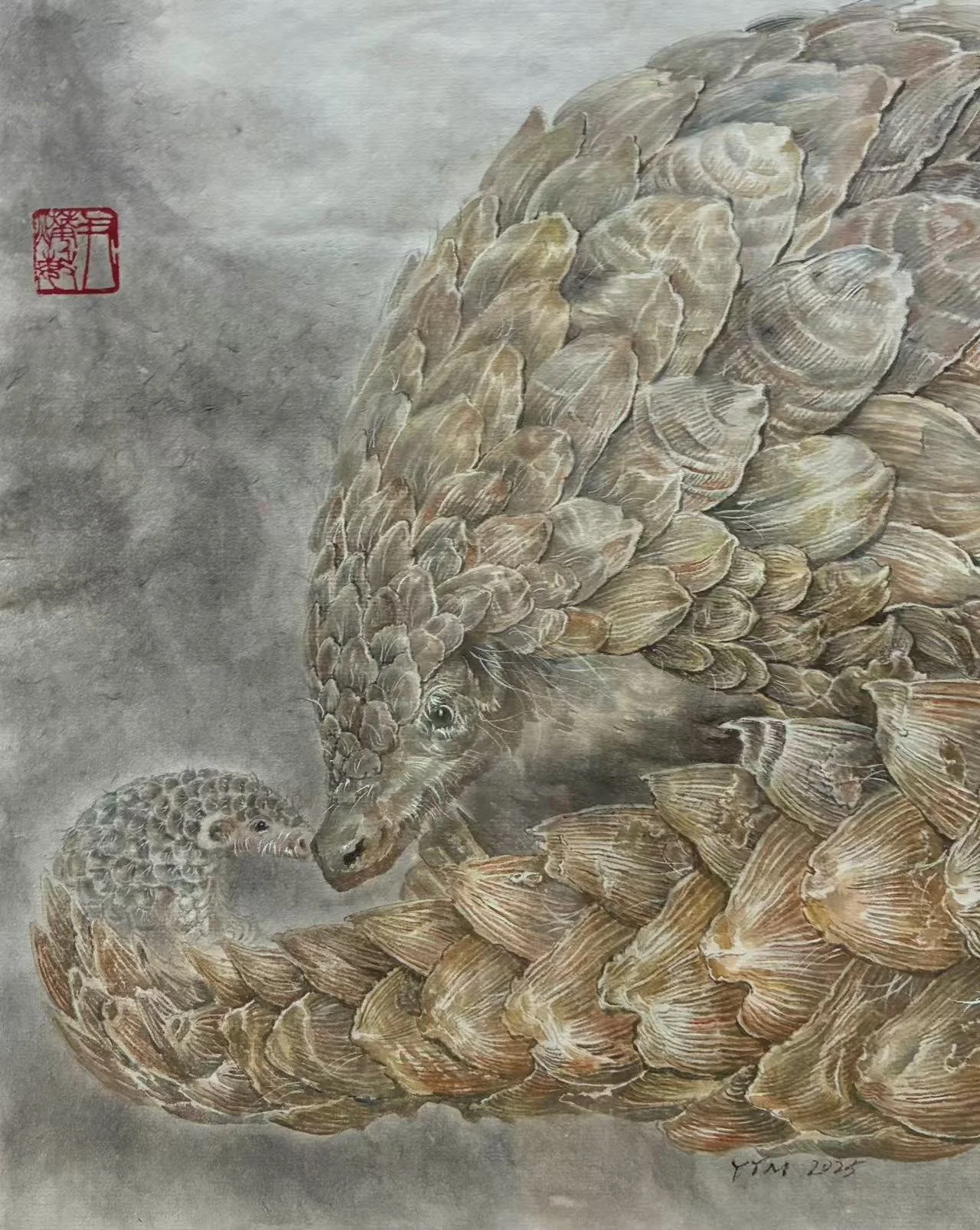 地鲮.jpg