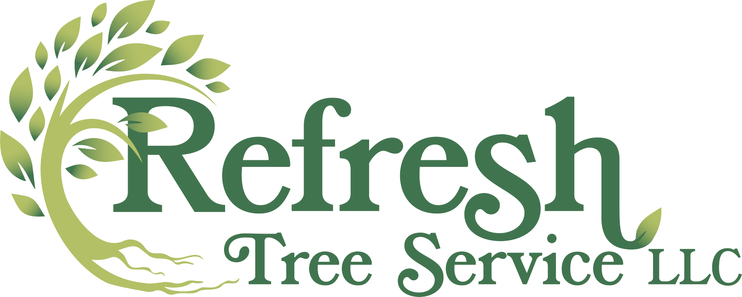 Refresh Tree Service