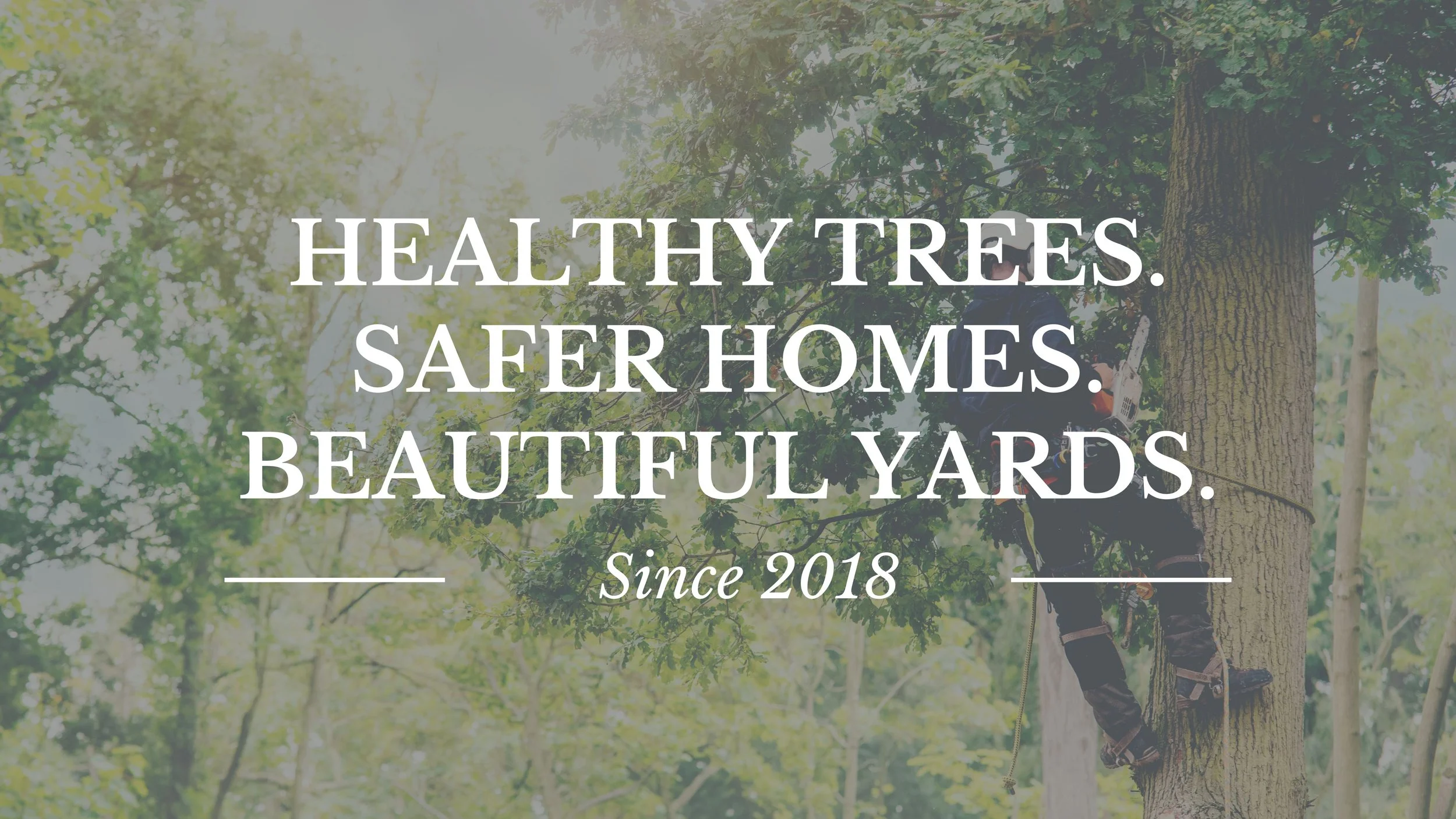 A person climbing a tree in a lush, green yard with multiple trees in the background, promoting healthy trees, safer homes, and beautiful yards since 2018.