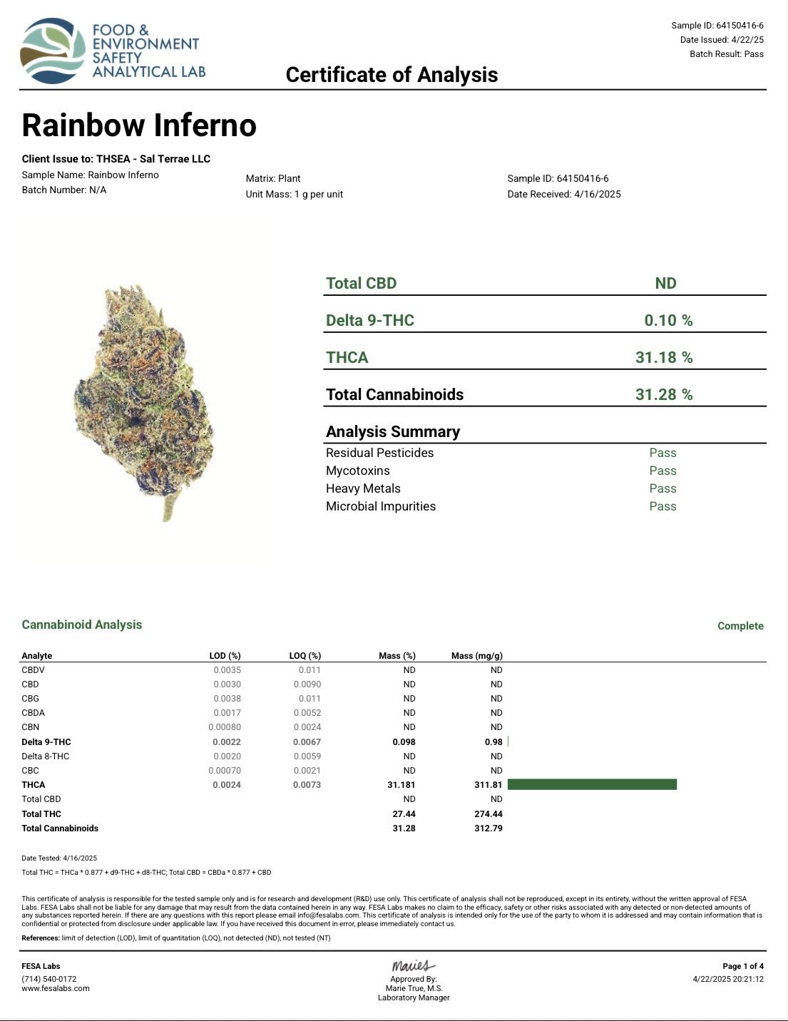 Rainbow Inferno COA 64150416-6.jpeg