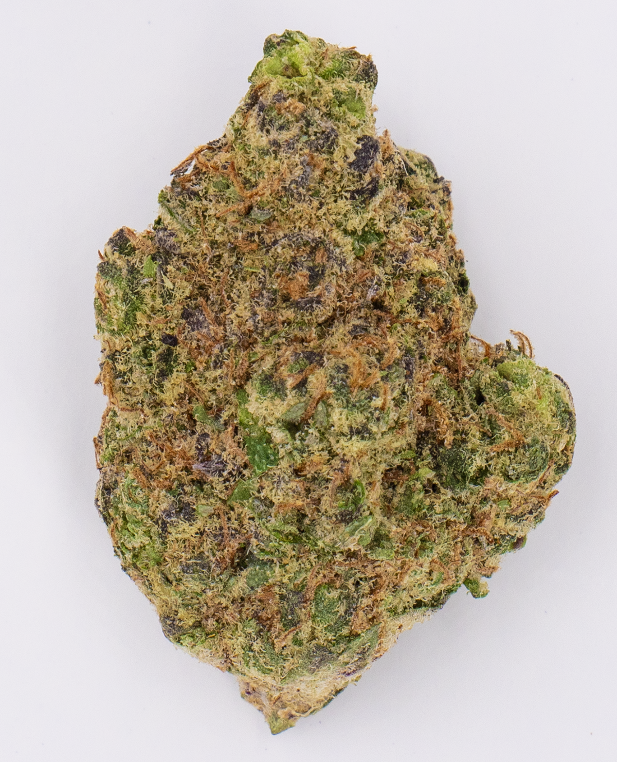 rainbow inferno product photo.png