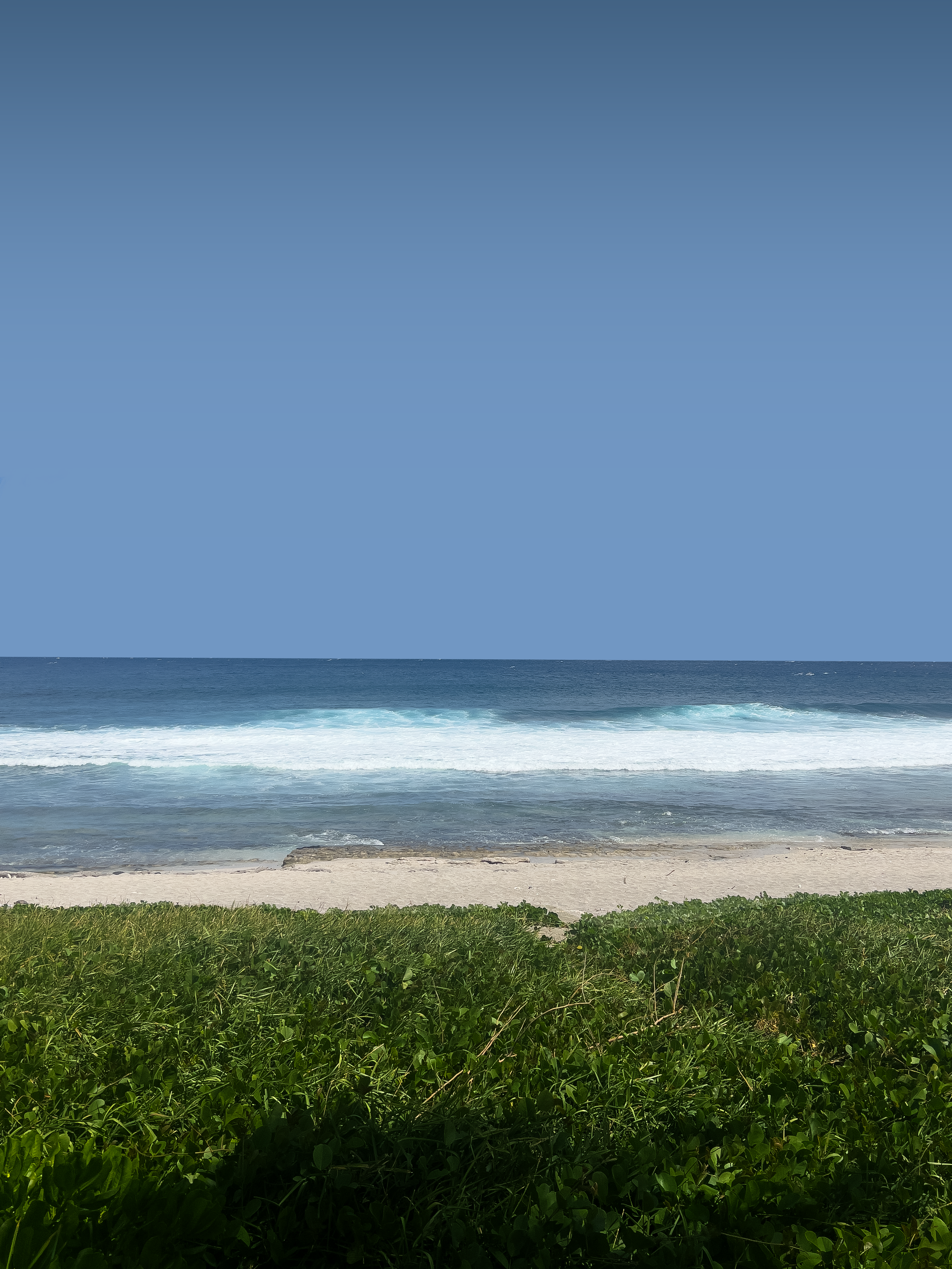 Plage de sable avec de l'herbe verte au premier plan, puis des vagues de mer et un ciel bleu clair.